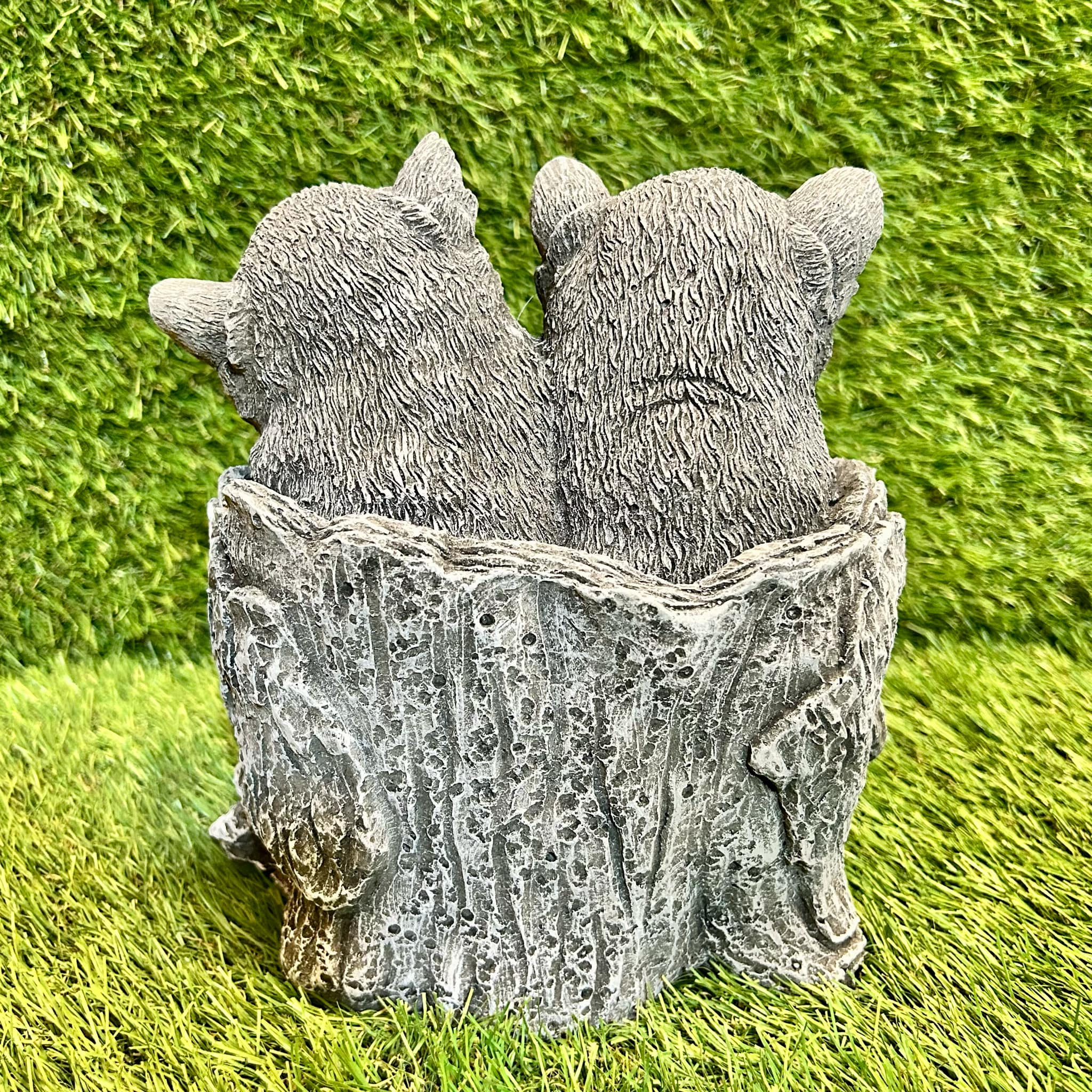 Two Baby Bears In Stump