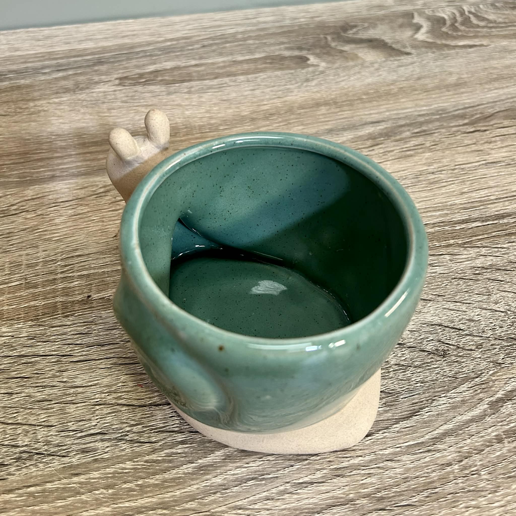 Ceramic Snail Planter