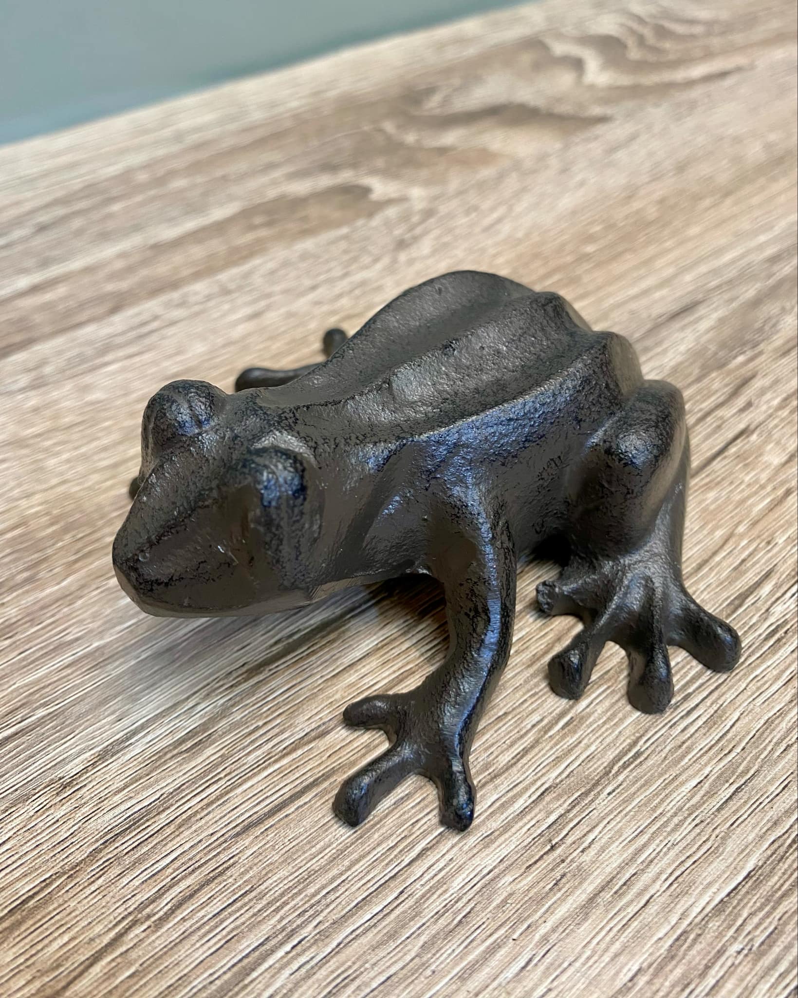 Metal Frog