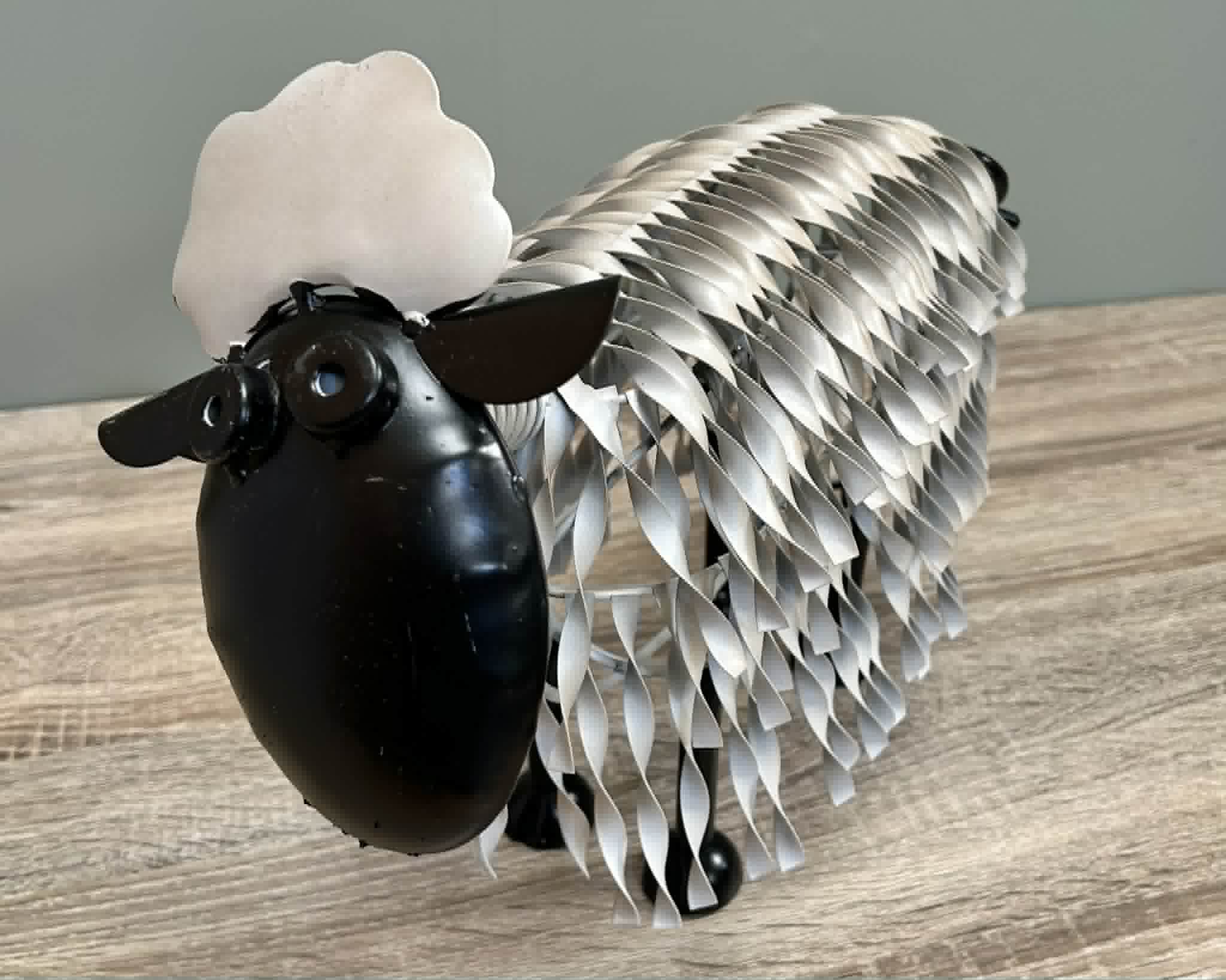Sheep