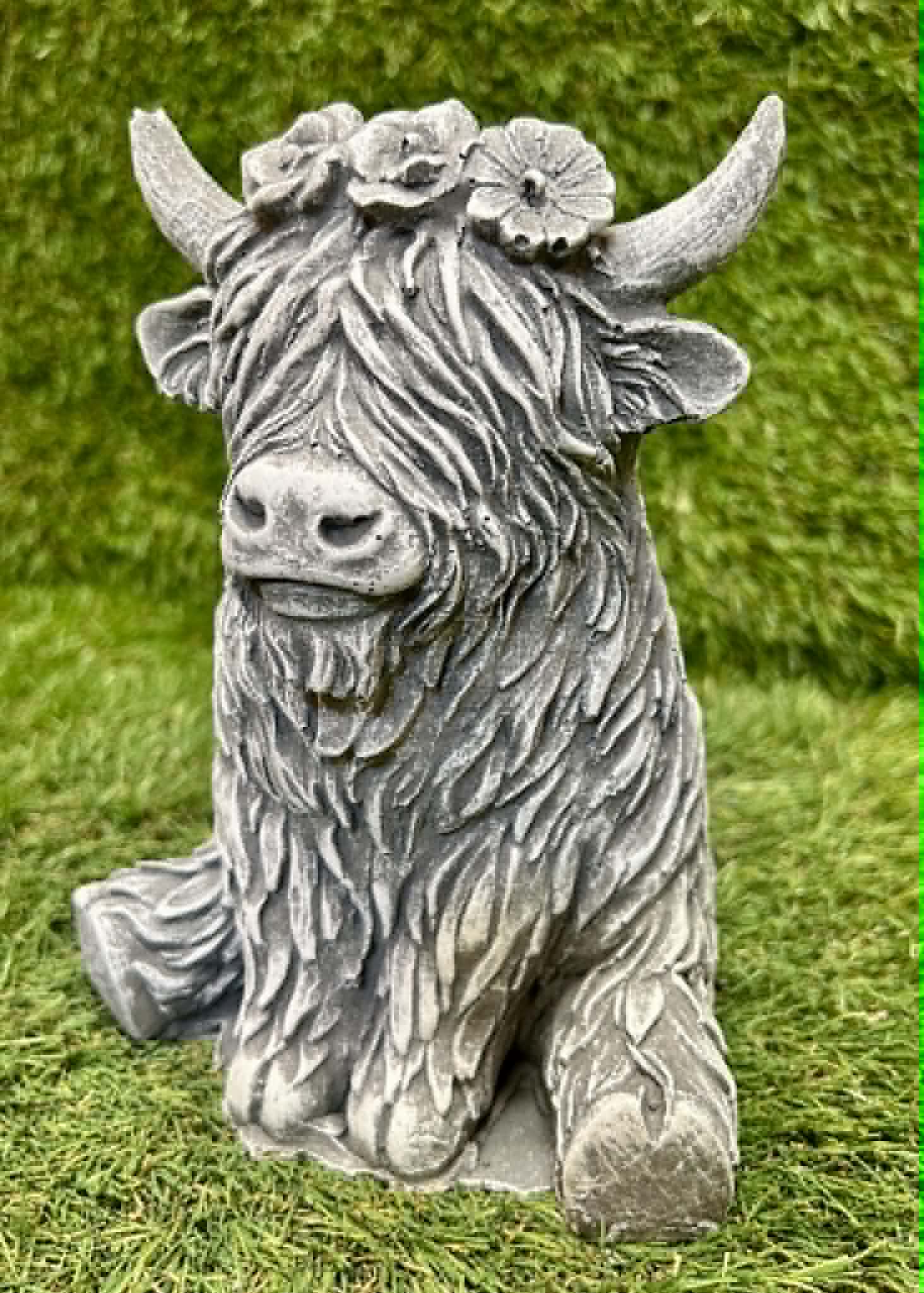 Small Highland Cow