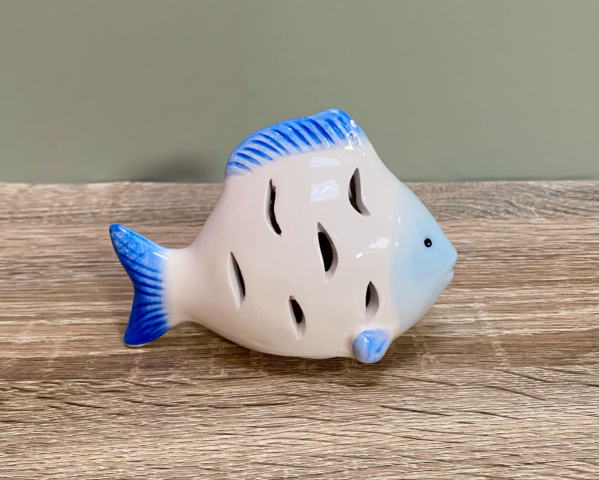 Small Fish LED Light