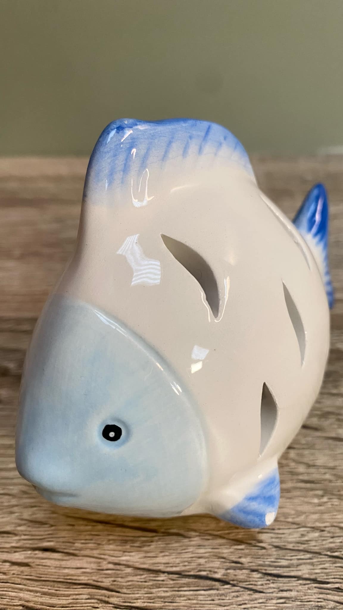 Small Fish LED Light