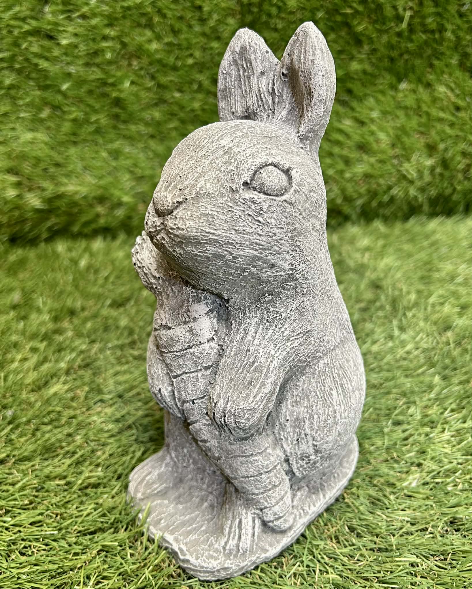 Rabbit With Carrot