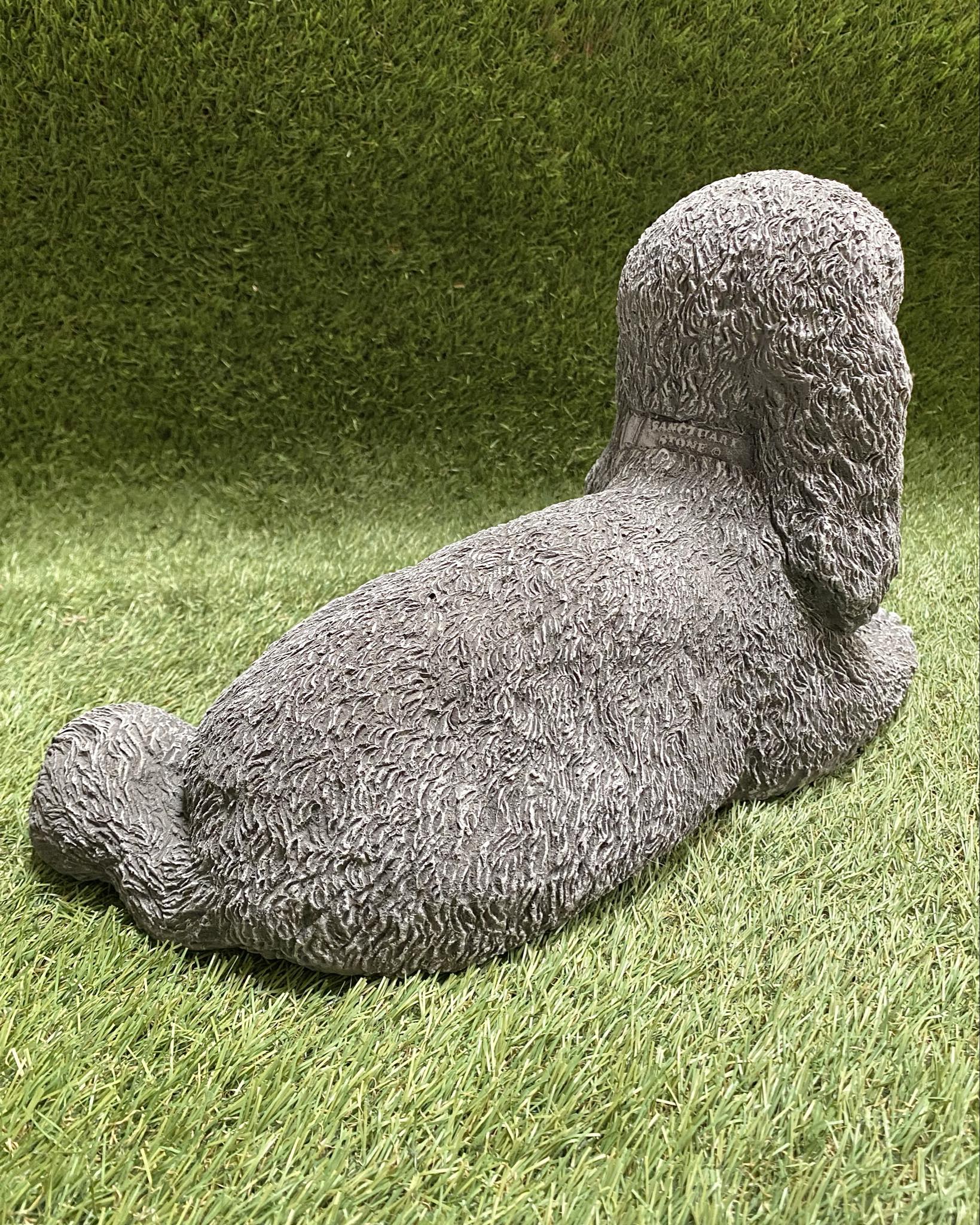 Large Poodle