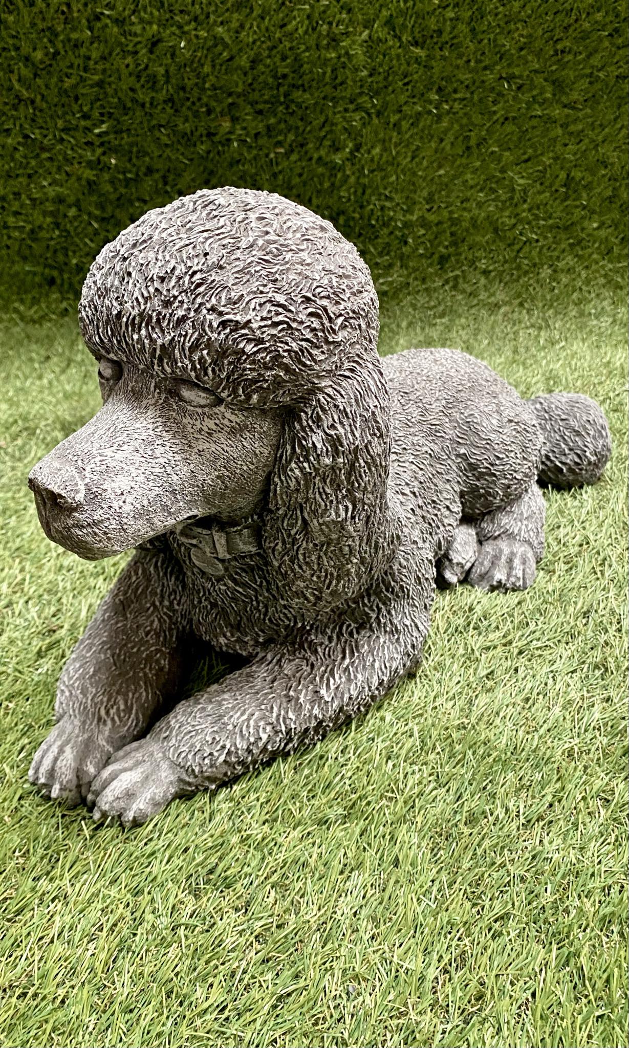 Large Poodle