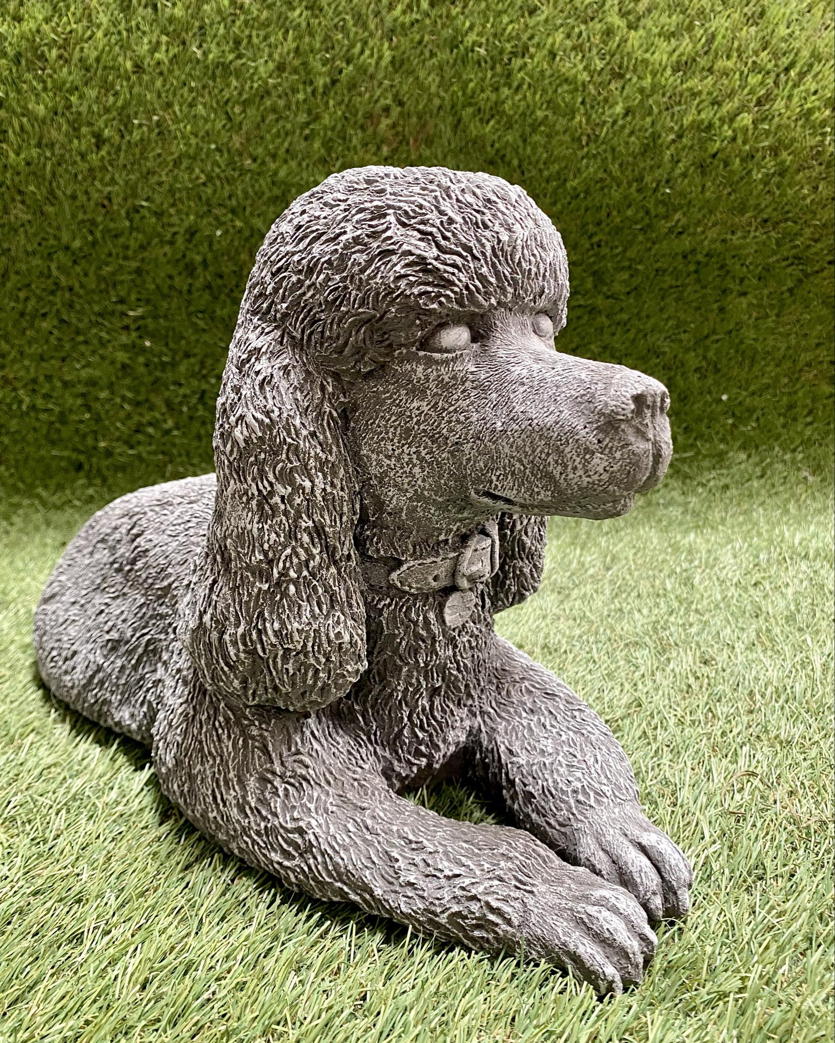 Large Poodle
