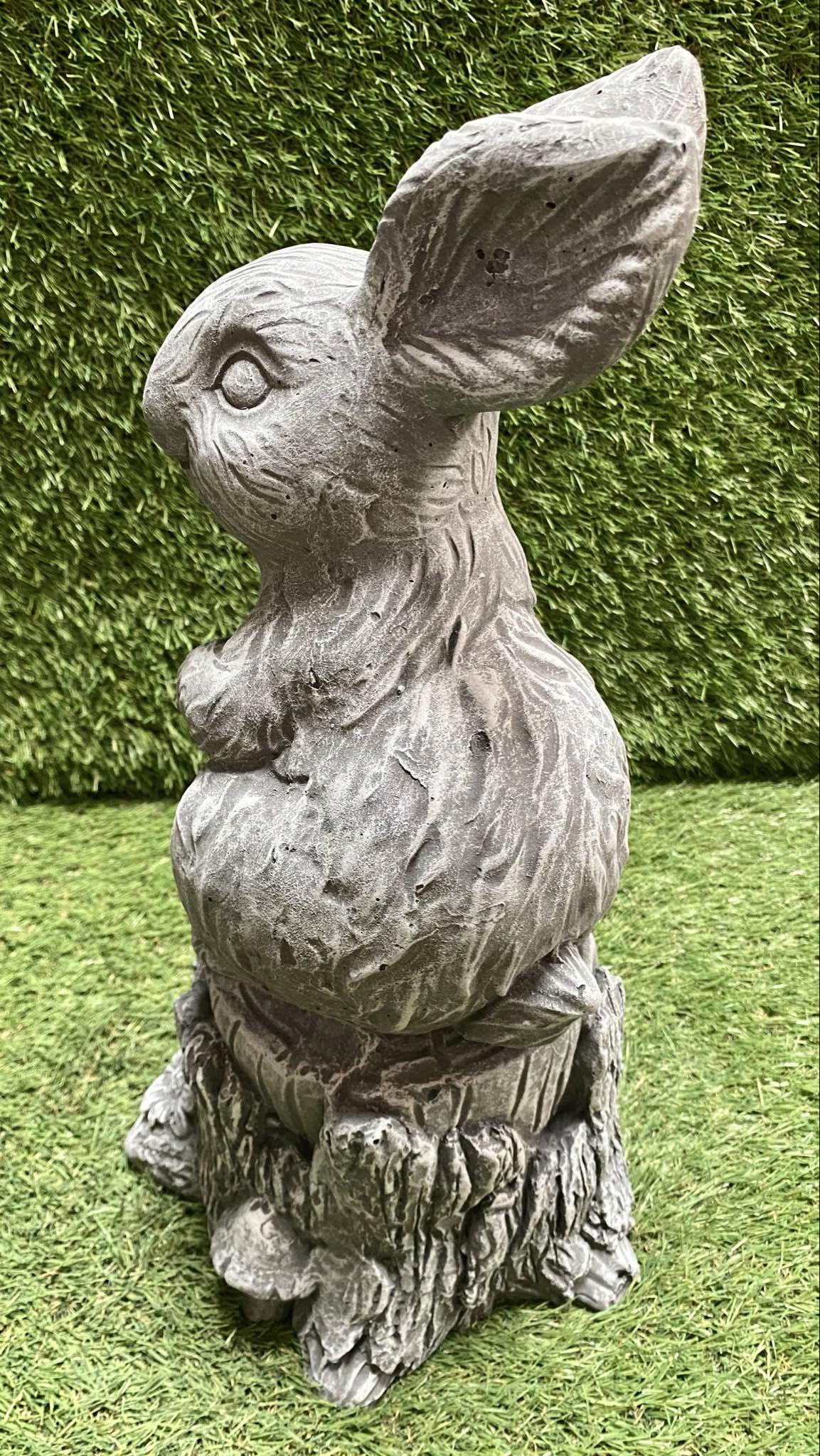 Large Rabbit On Stump