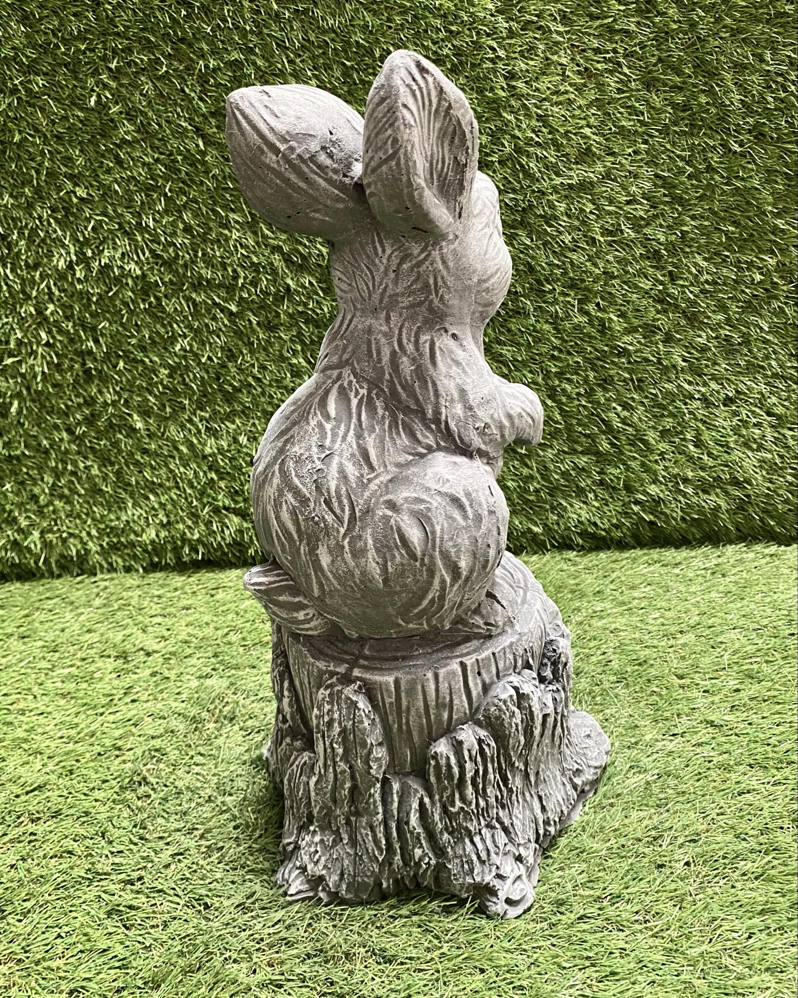 Large Rabbit On Stump