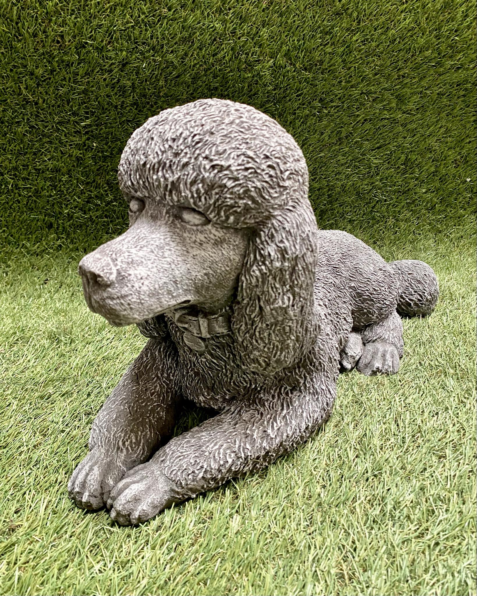 Large Poodle