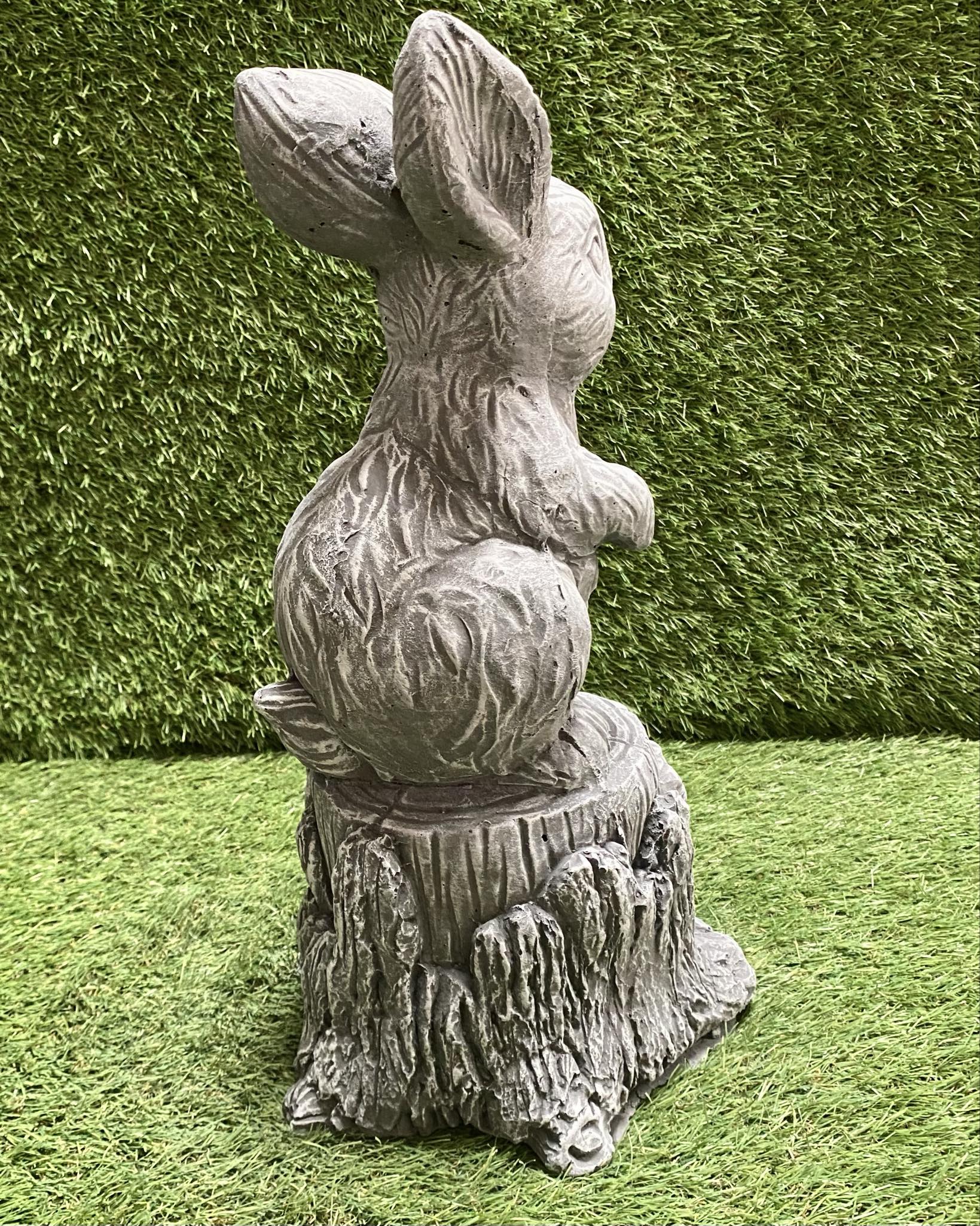 Large Rabbit On Stump