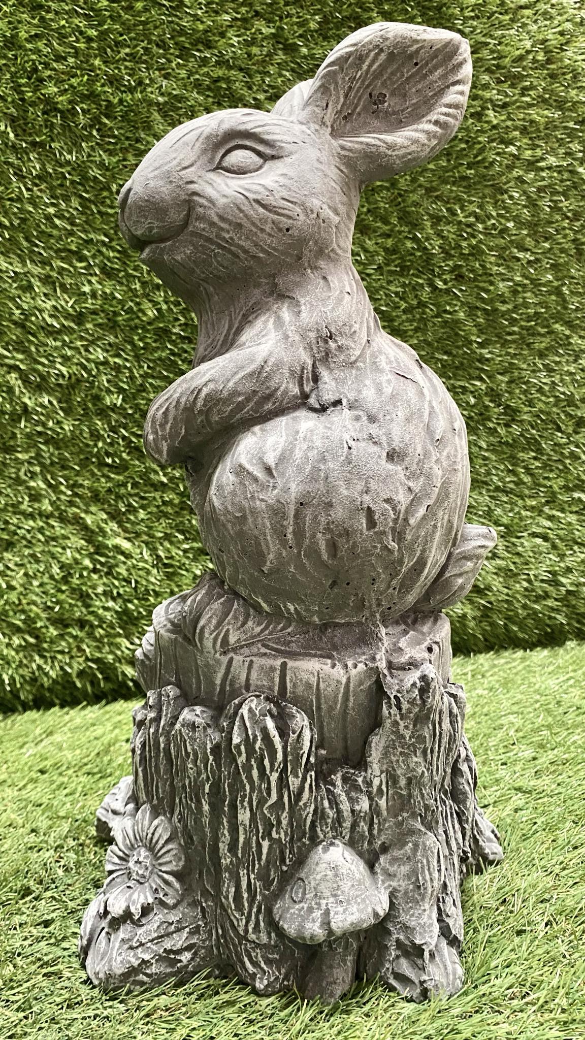 Large Rabbit On Stump
