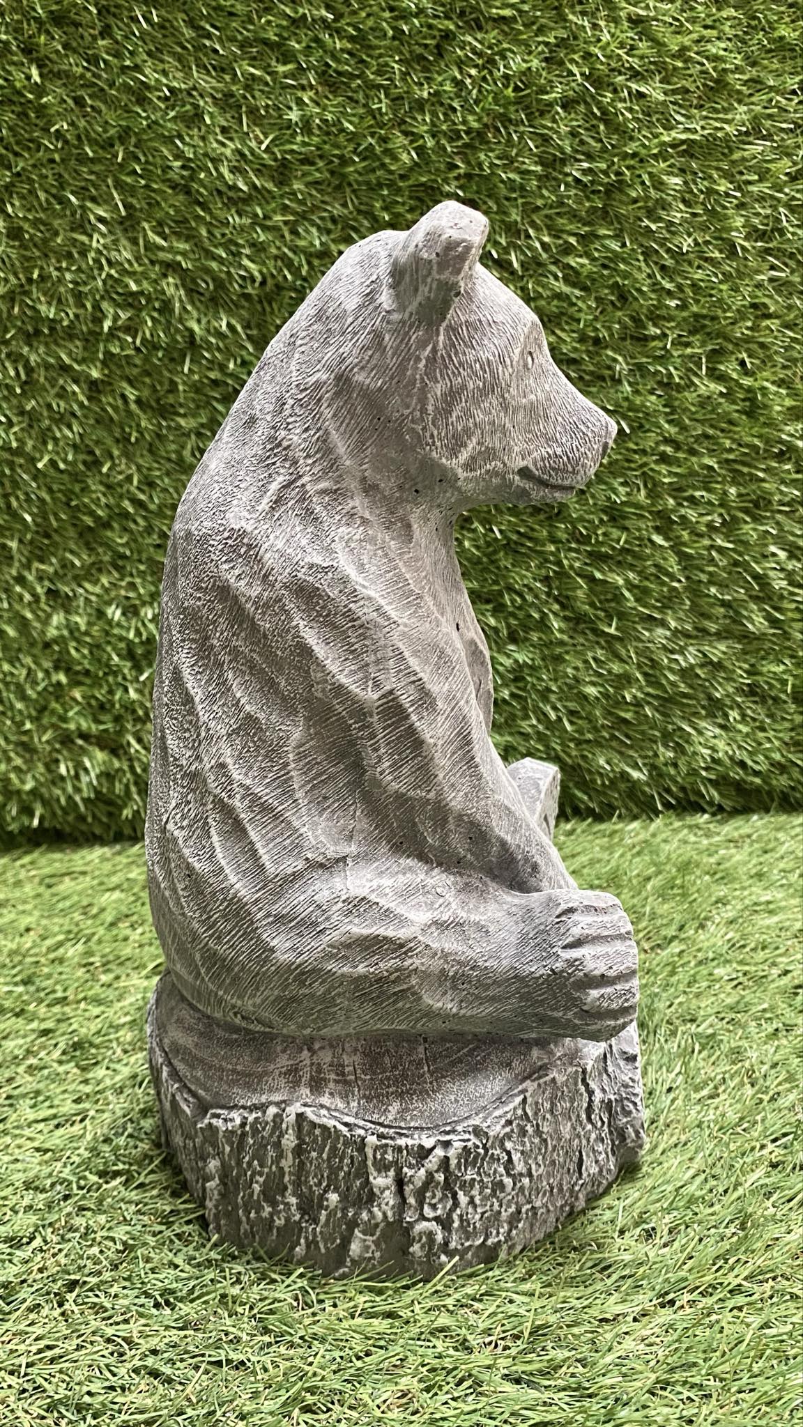 Bear Sitting On Stump