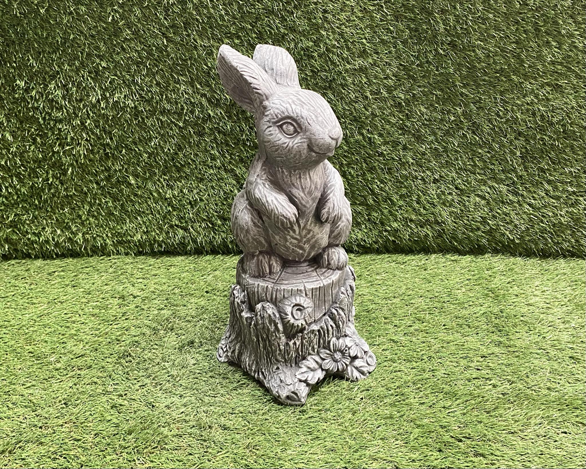 Large Rabbit On Stump
