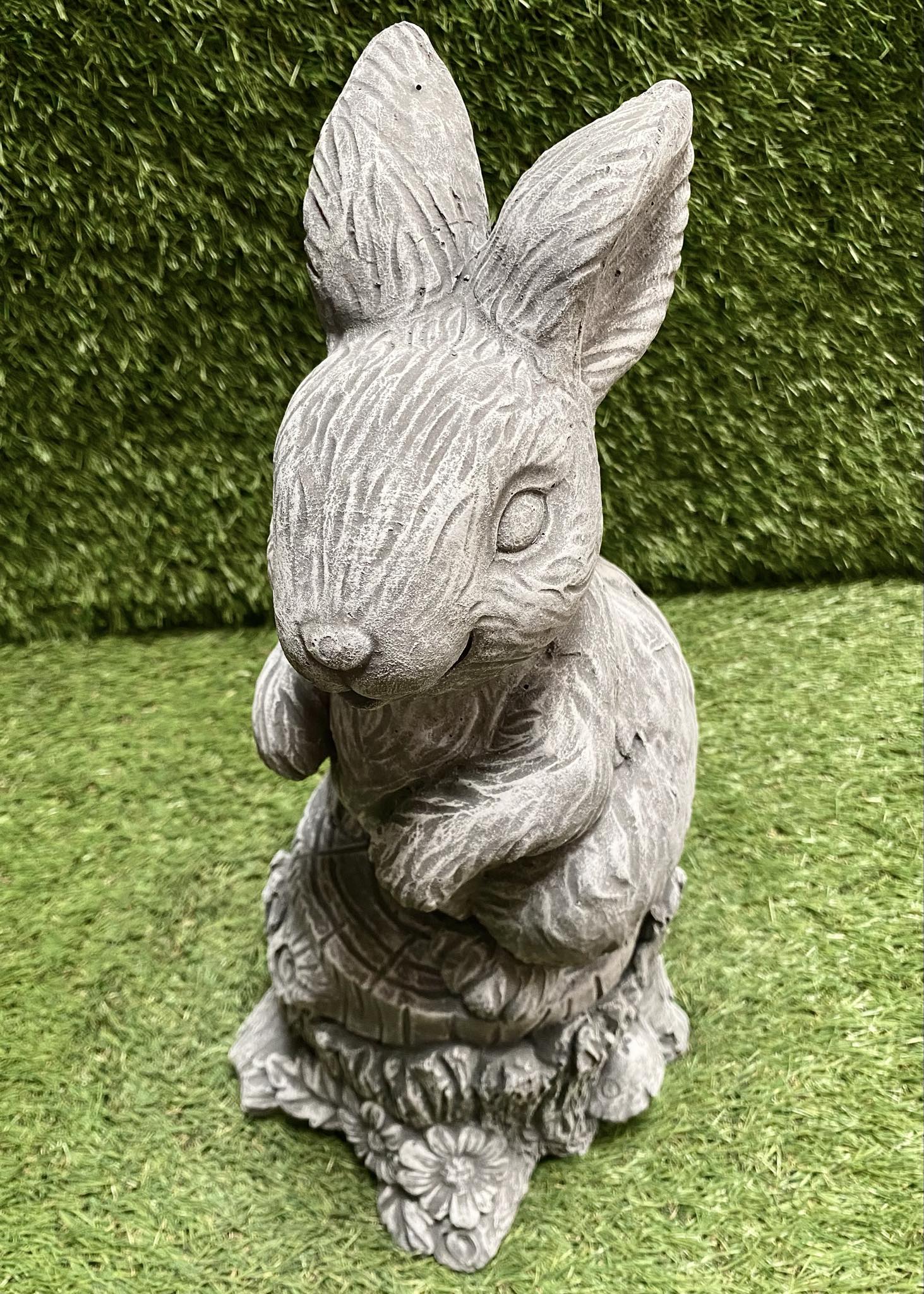 Large Rabbit On Stump