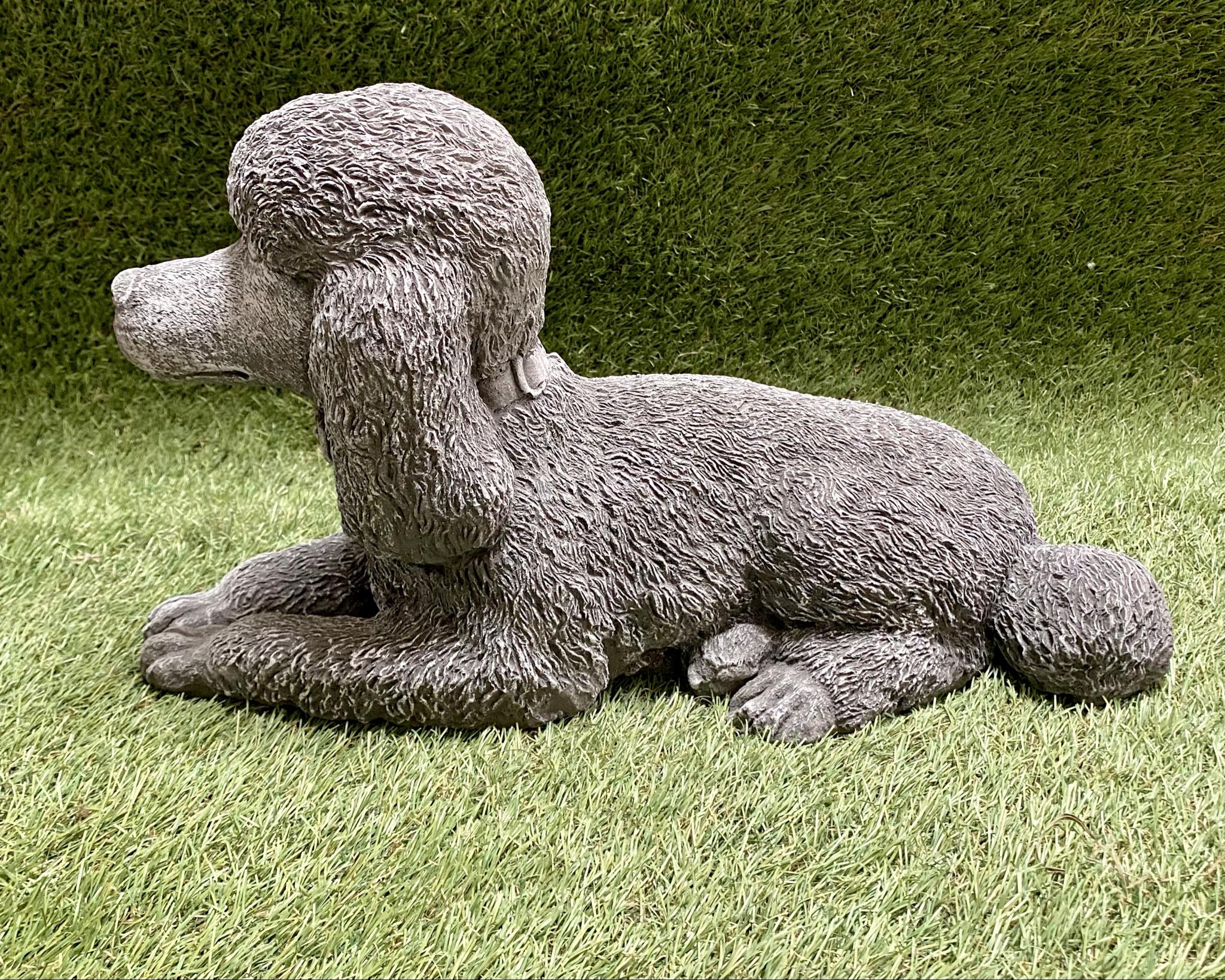 Large Poodle