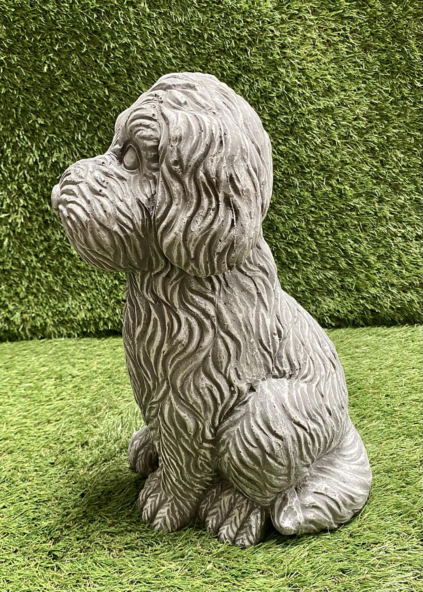 Large Cockapoo Dog