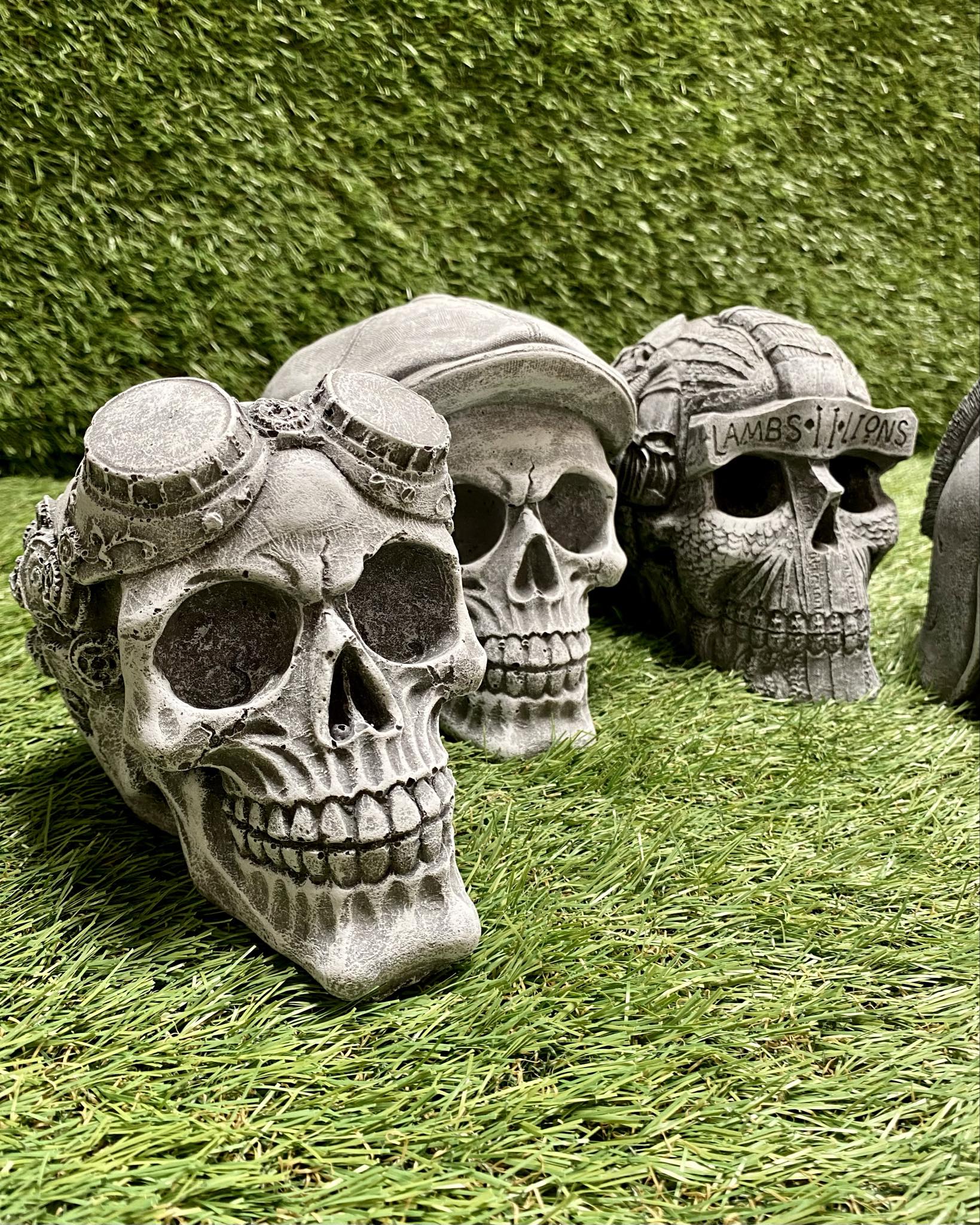 Skull Variations