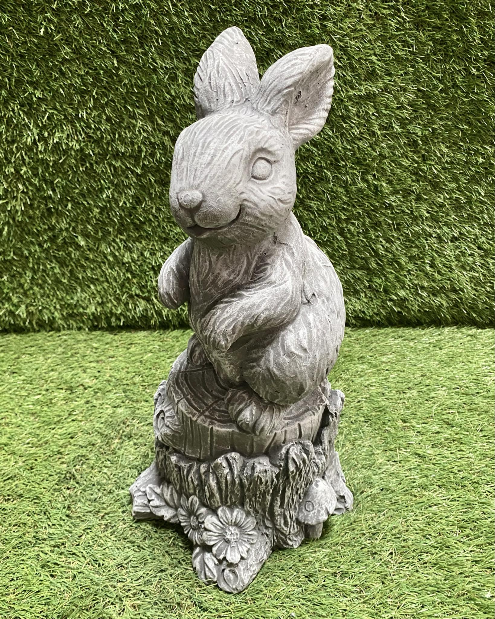 Large Rabbit On Stump
