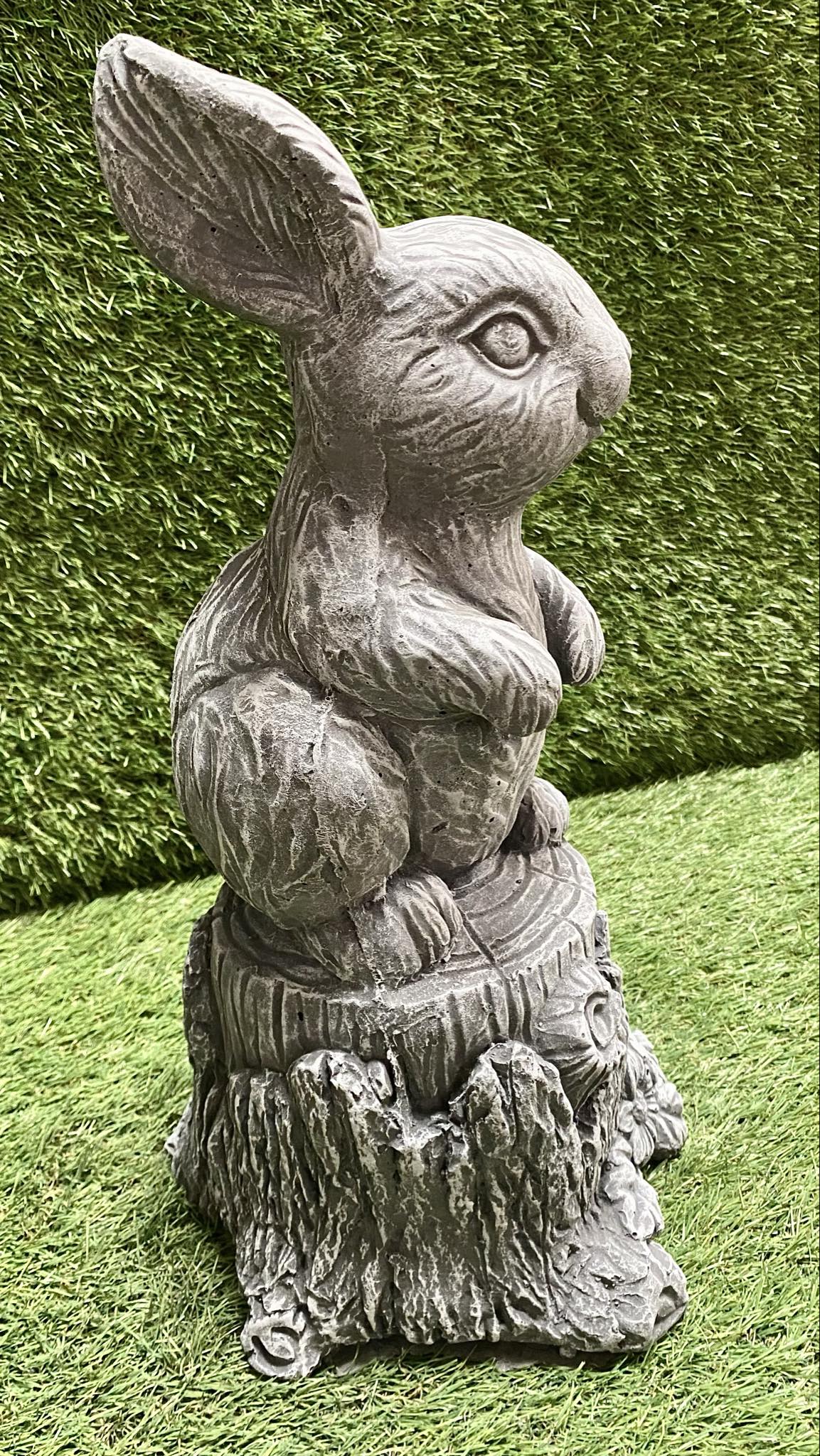 Large Rabbit On Stump