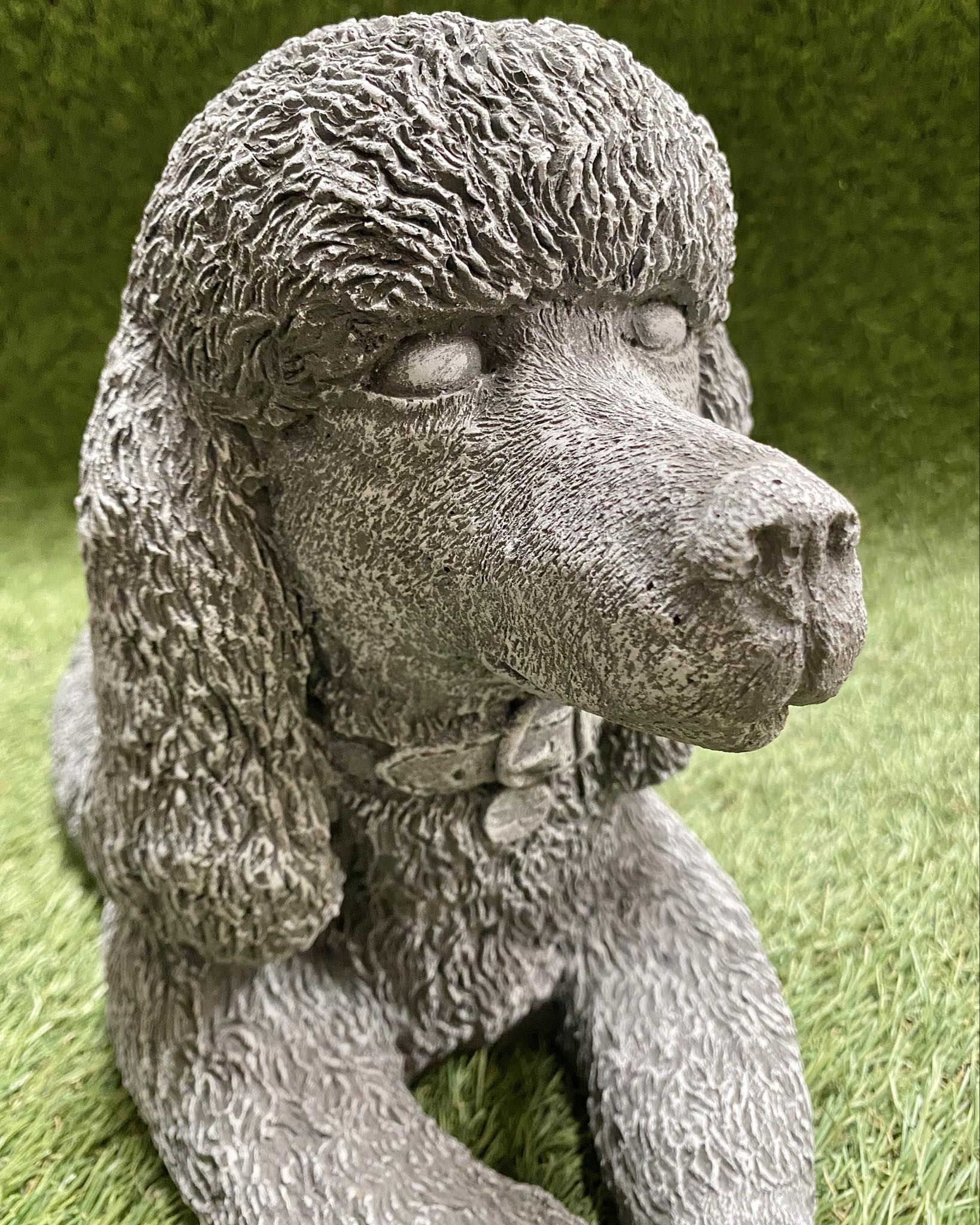 Large Poodle