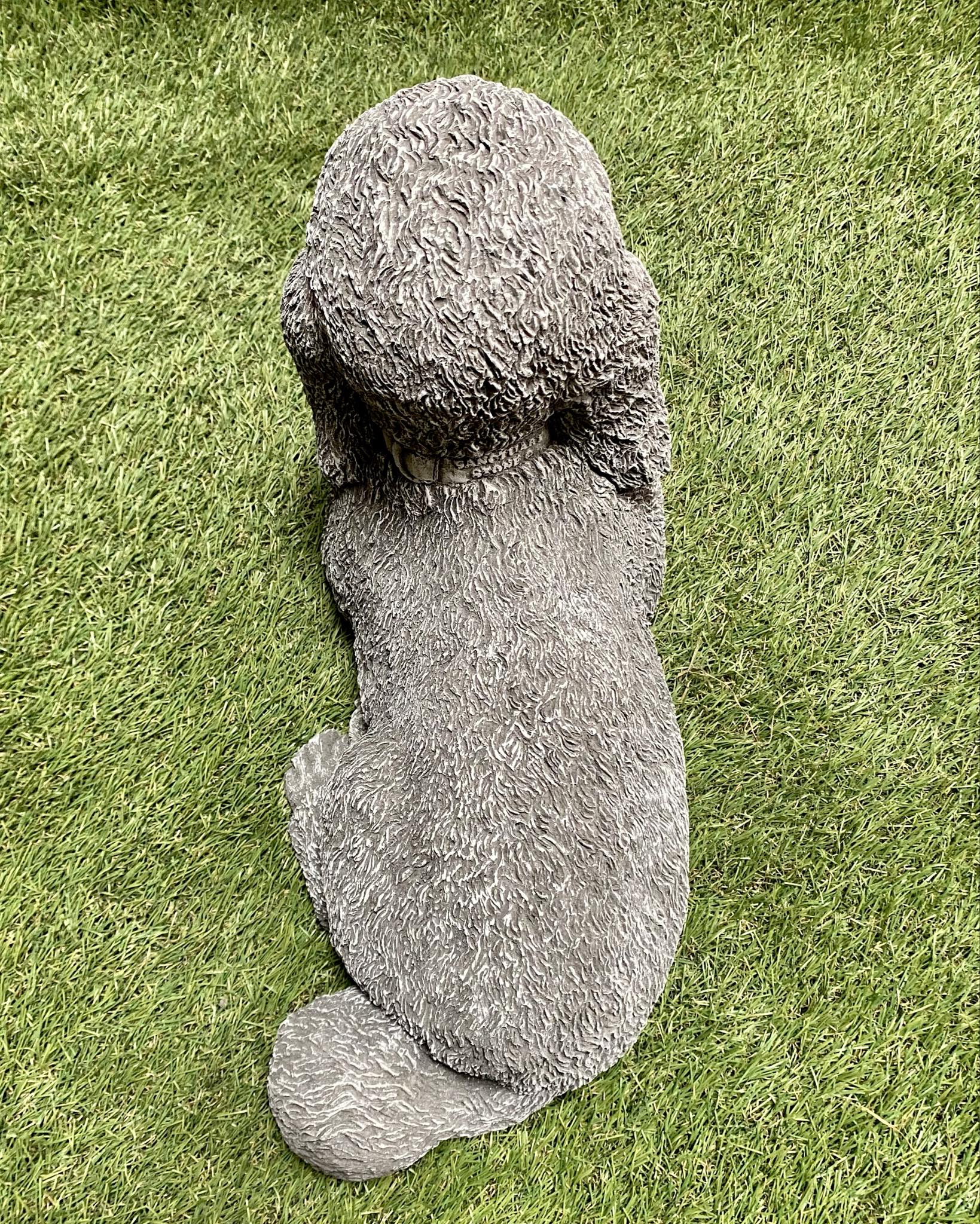 Large Poodle