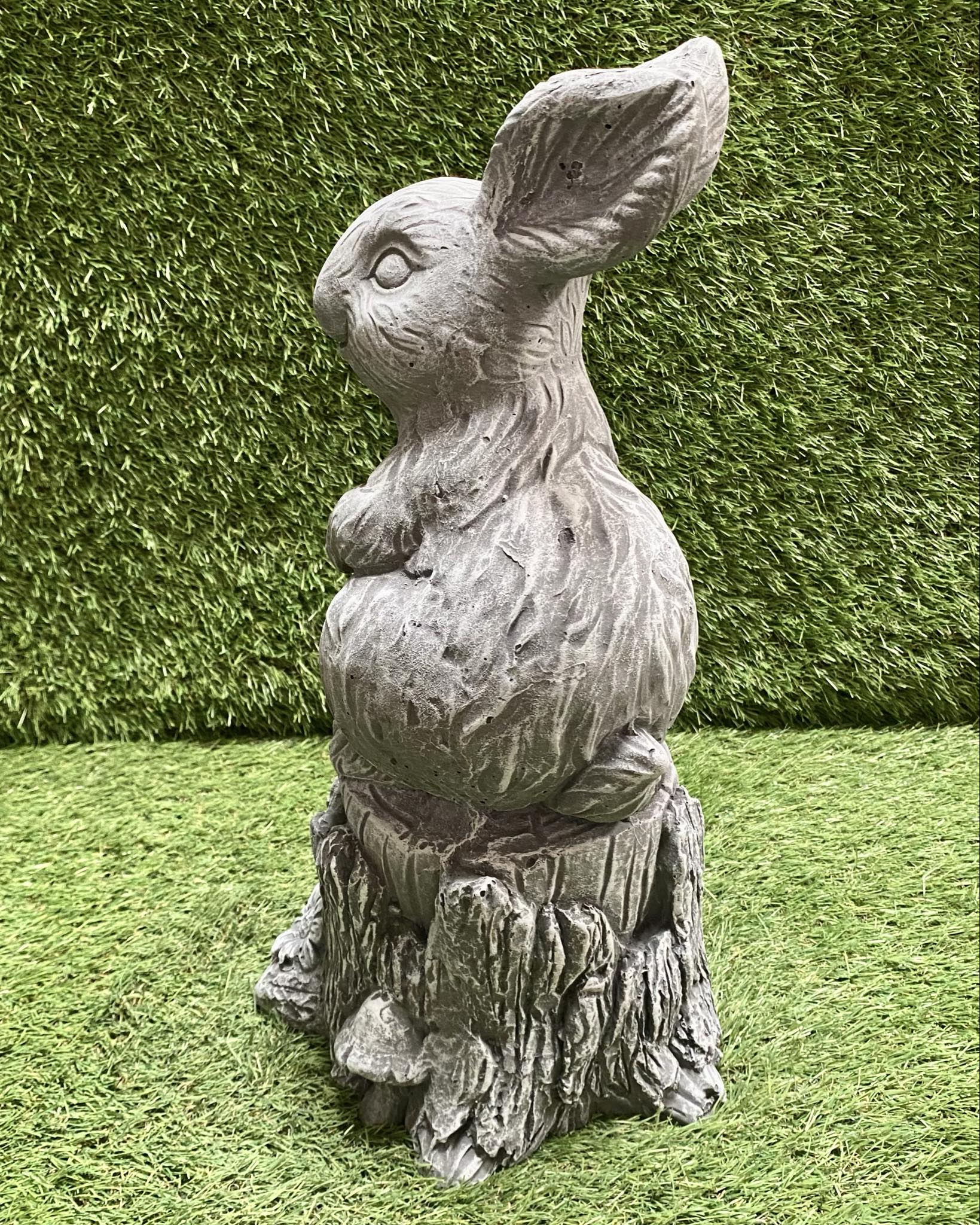 Large Rabbit On Stump