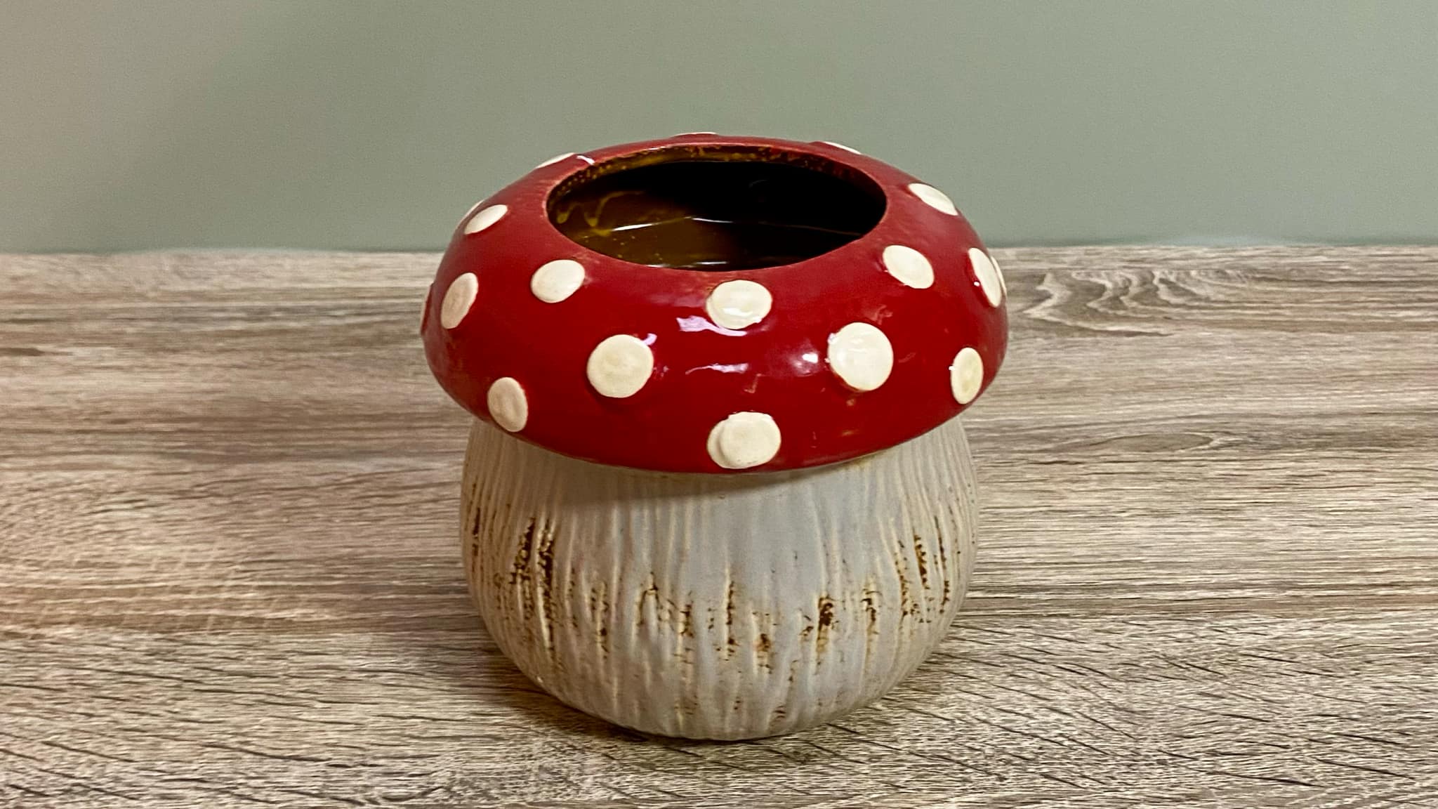 Fairy Toadstool Planter