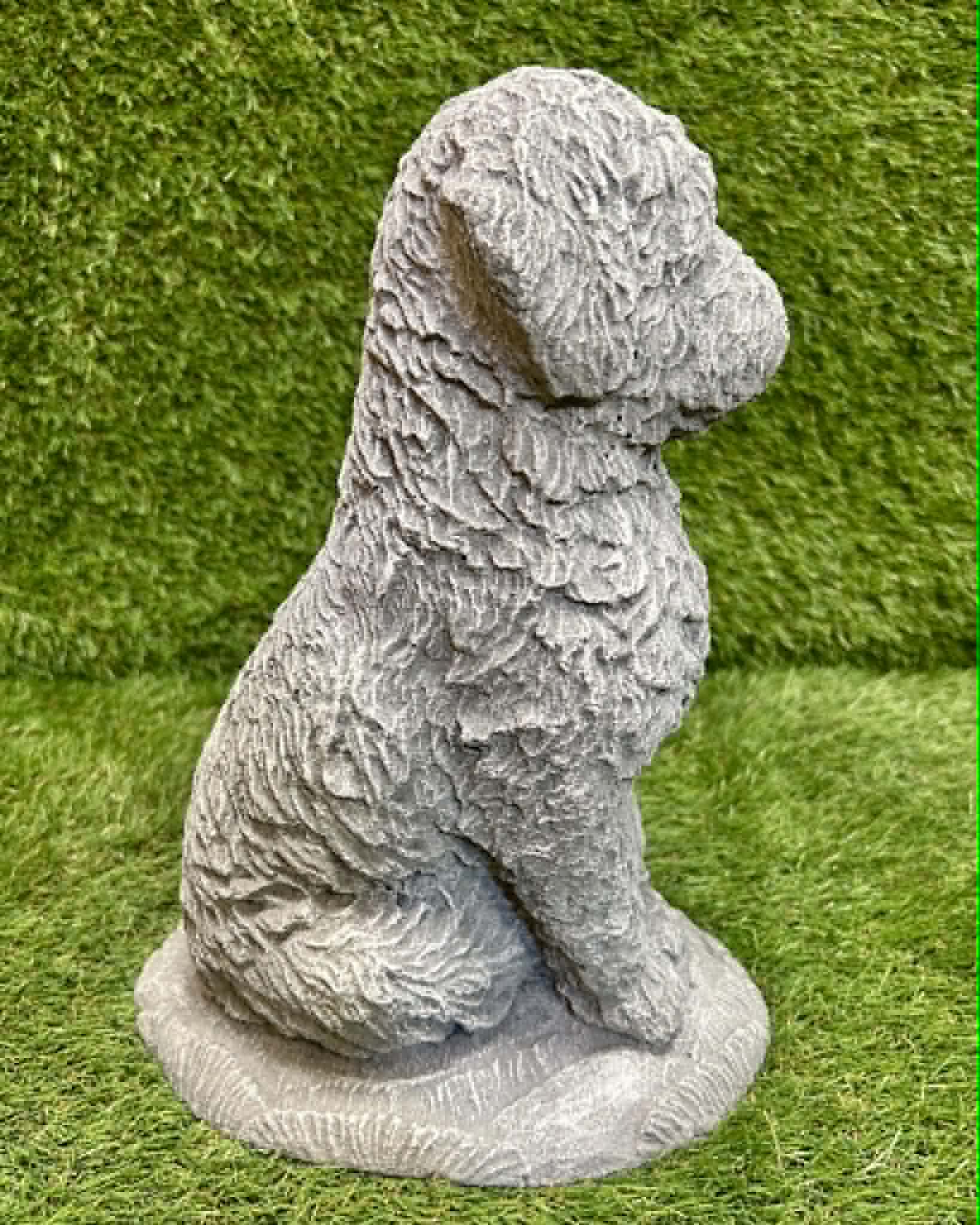 Cockapoo