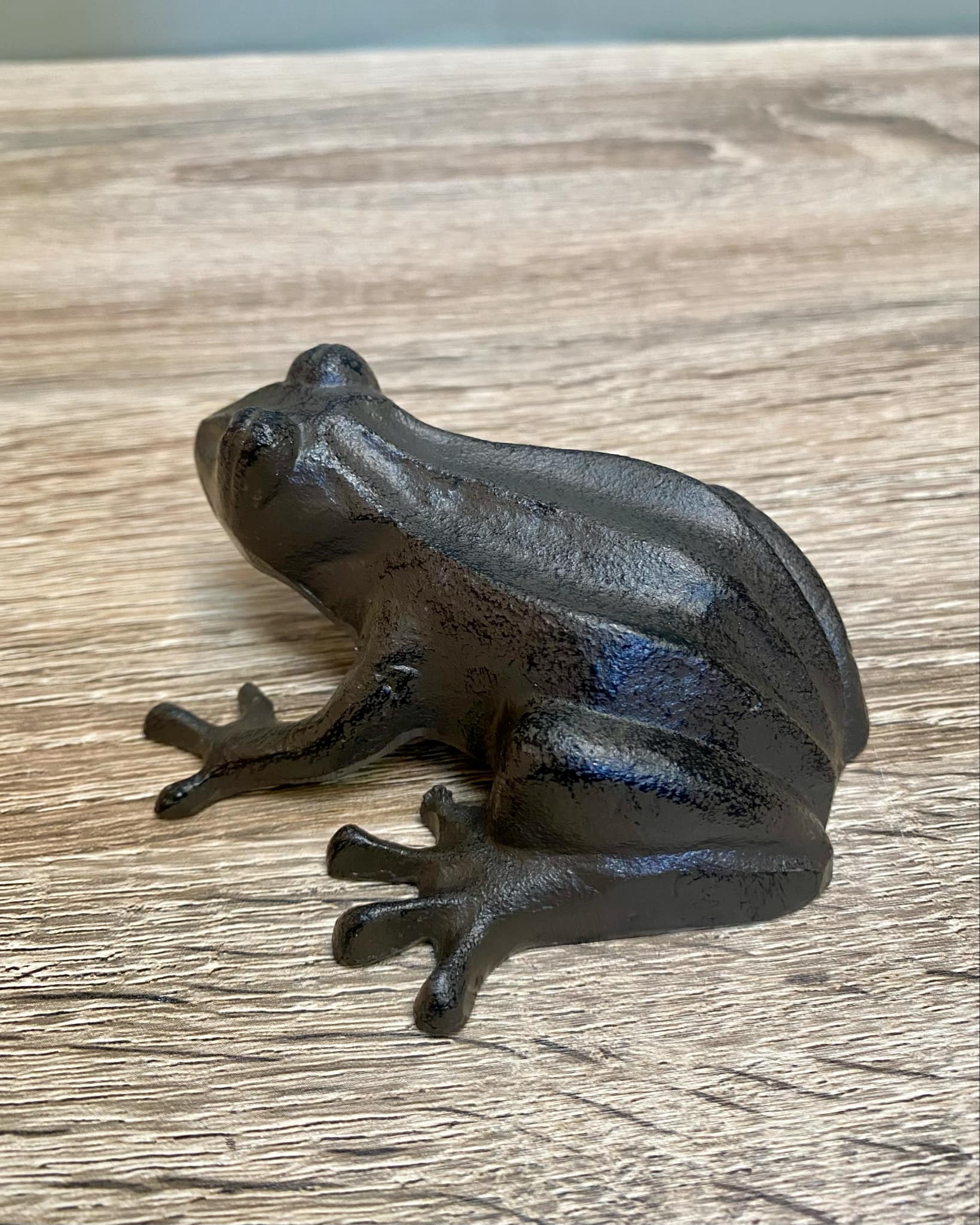 Metal Frog