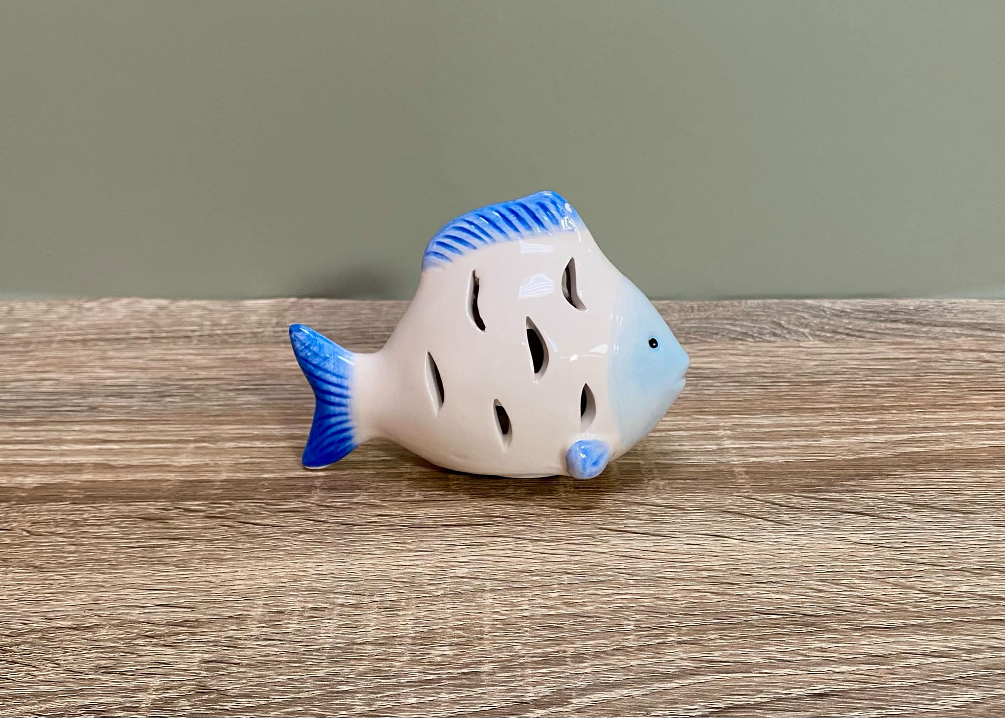 Small Fish LED Light