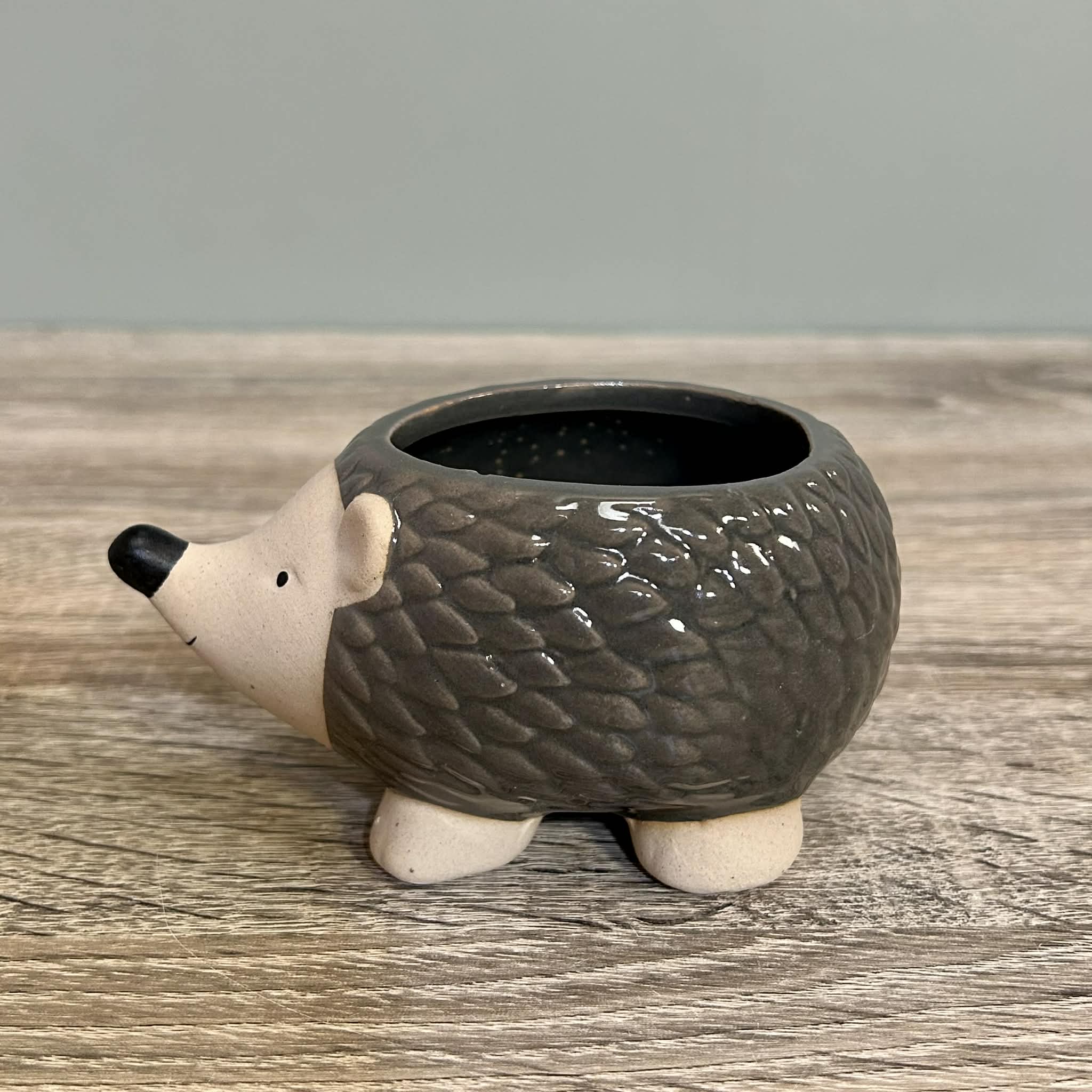 Ceramic Hedgehog Plant Pot