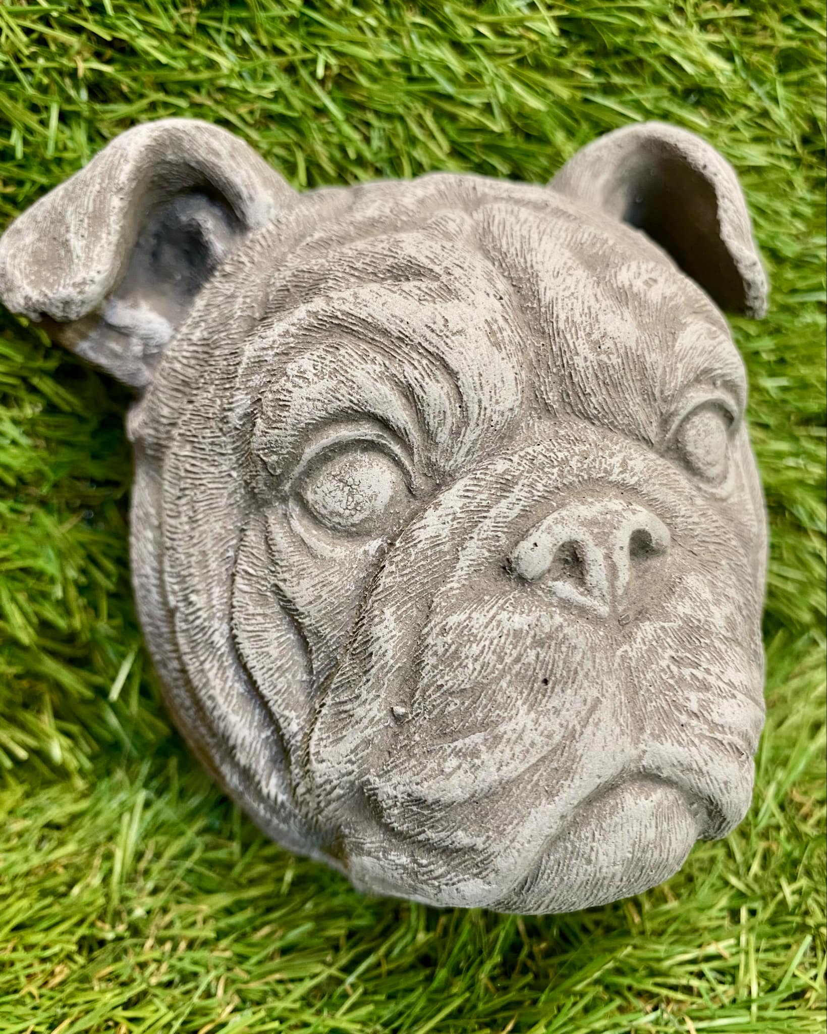 Bulldog Head Wall Plaque