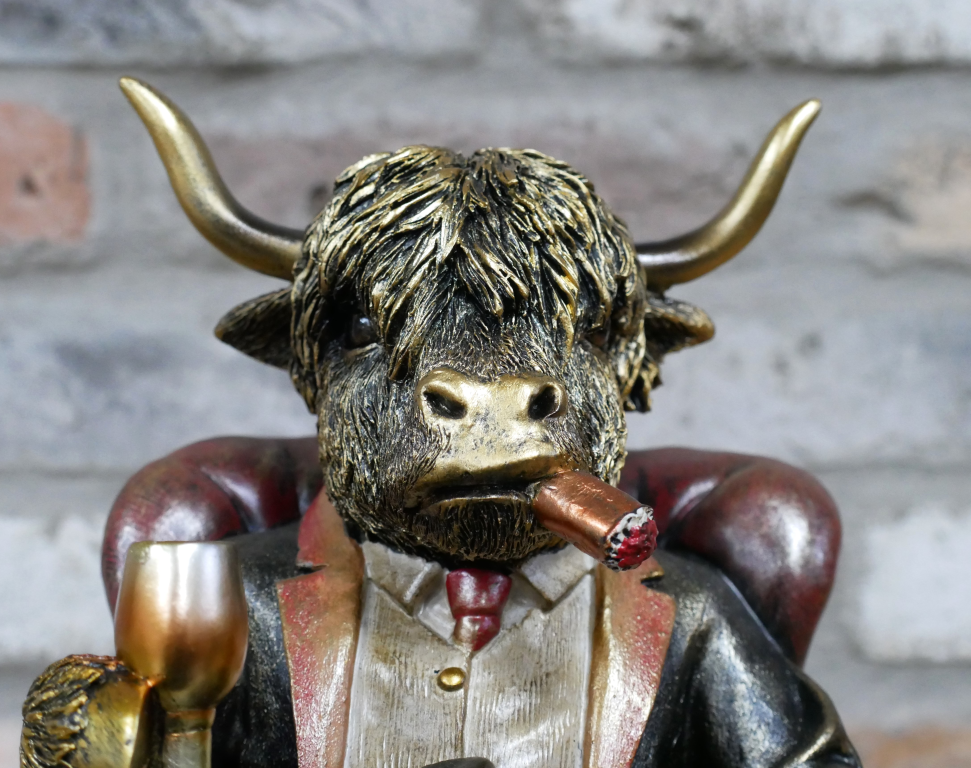 Gentleman Highland Cow Sat In A Chair