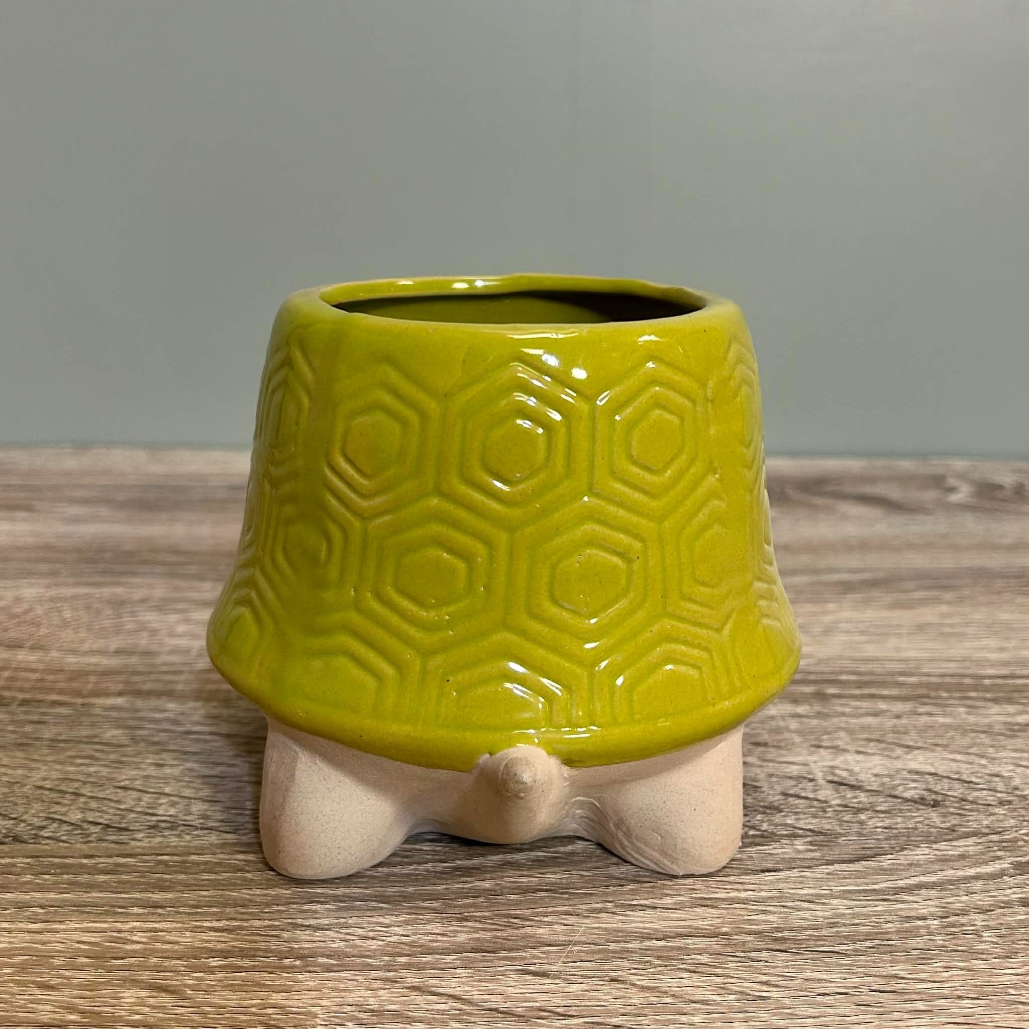 Ceramic Tortoise Planter