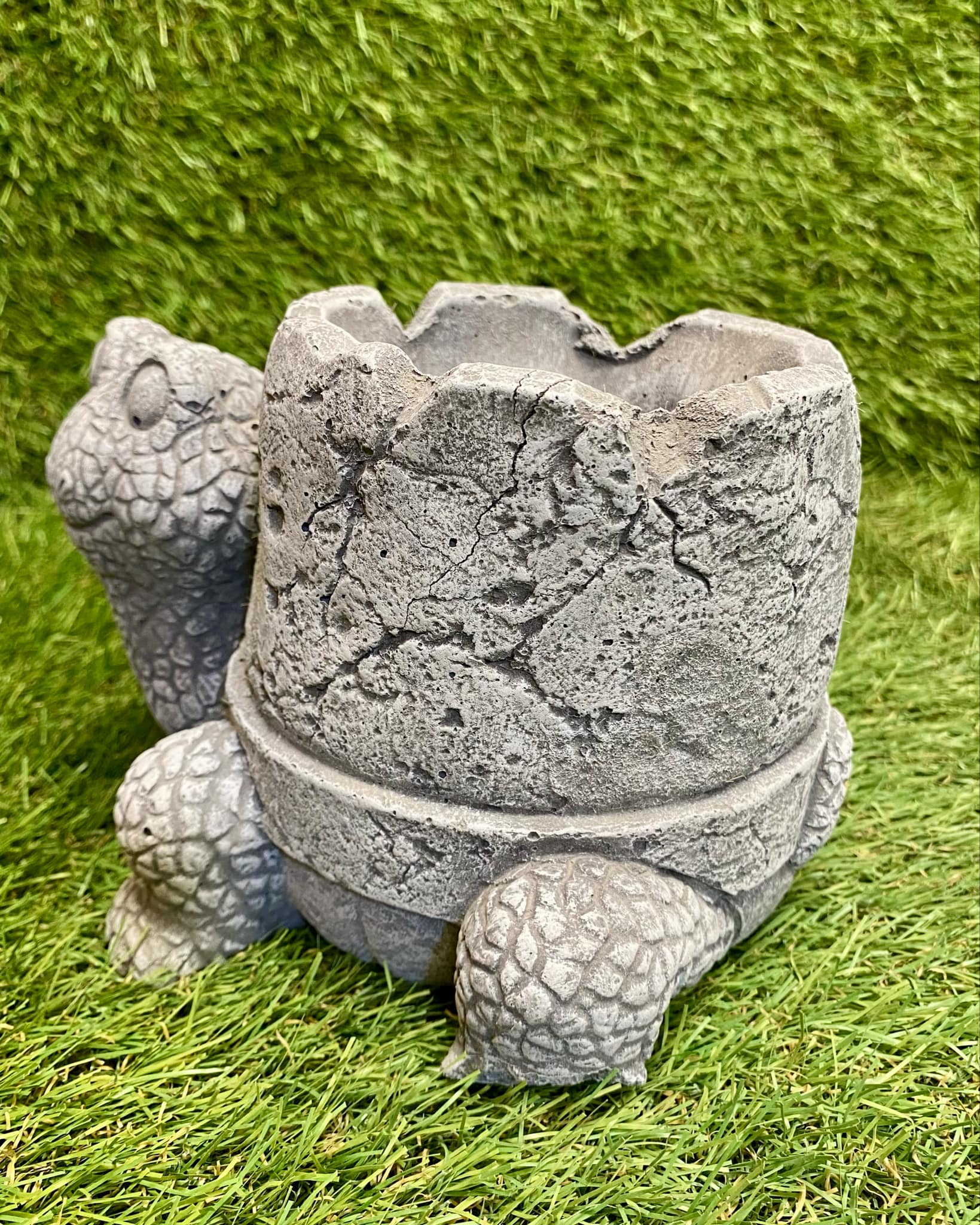 Tortoise Planter