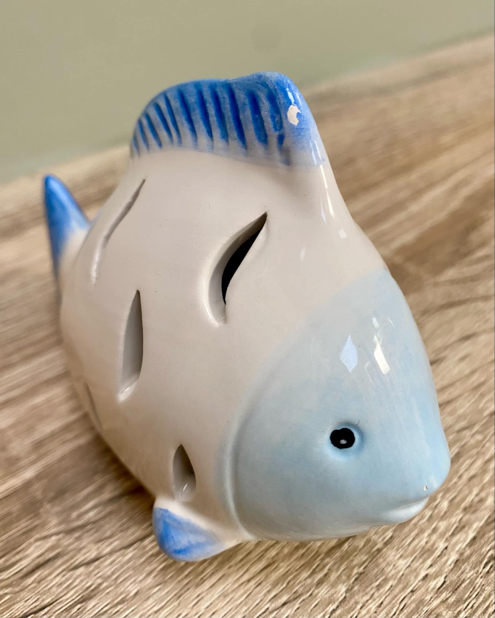 Small Fish LED Light