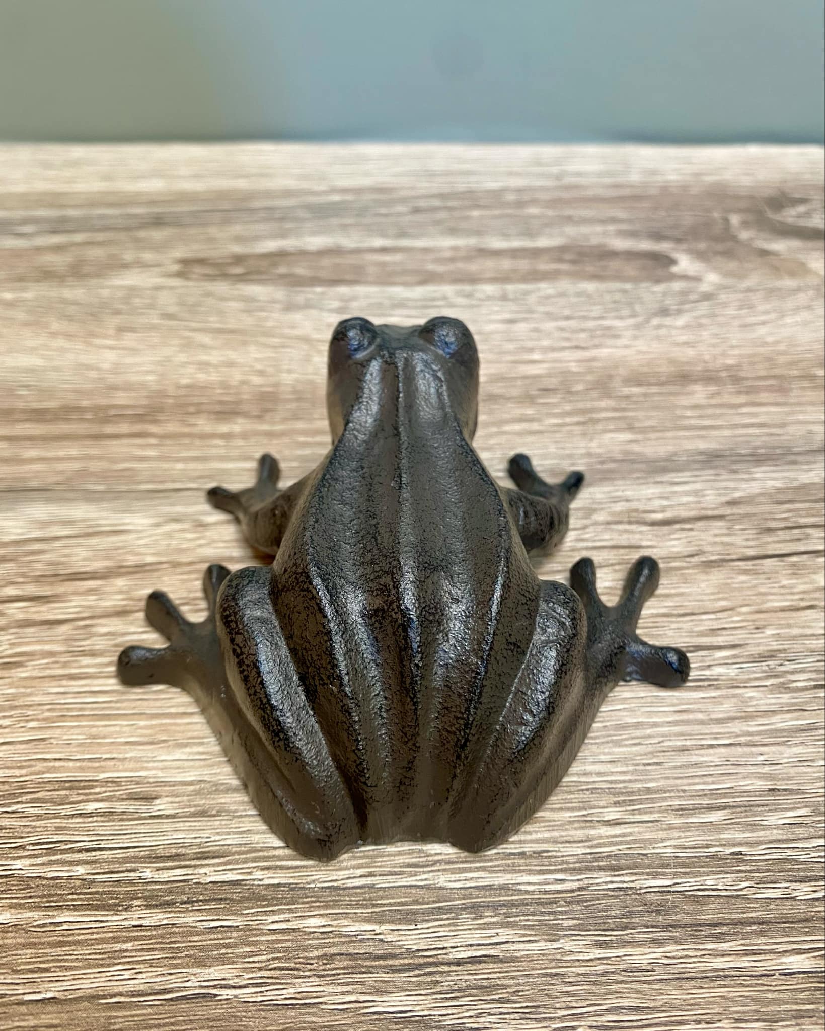 Metal Frog
