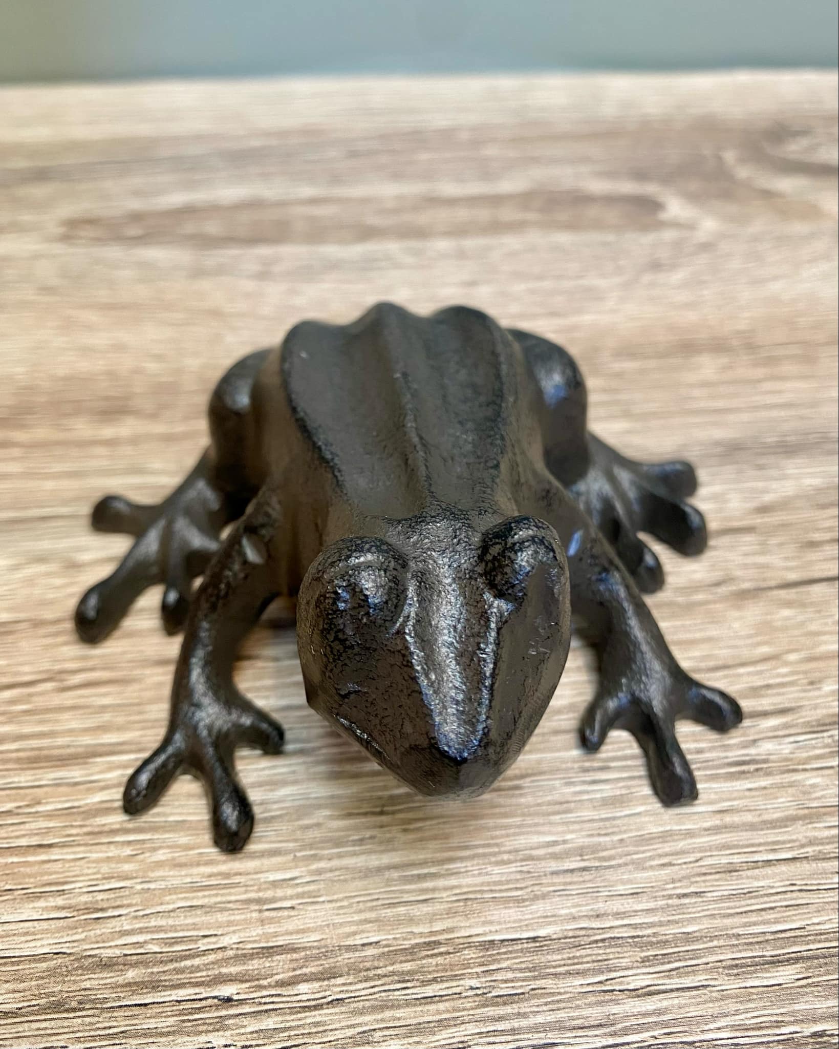 Metal Frog