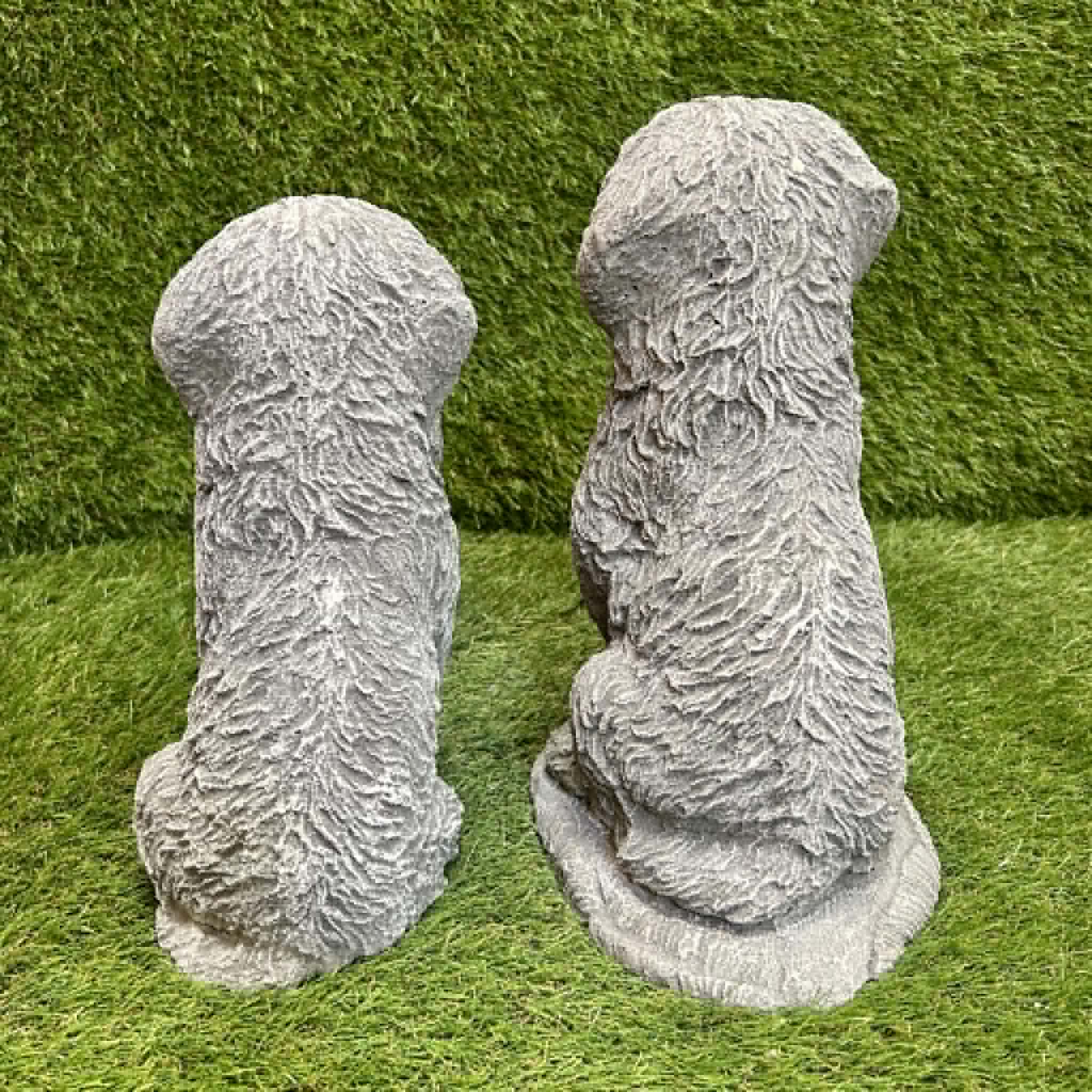 Cockapoo