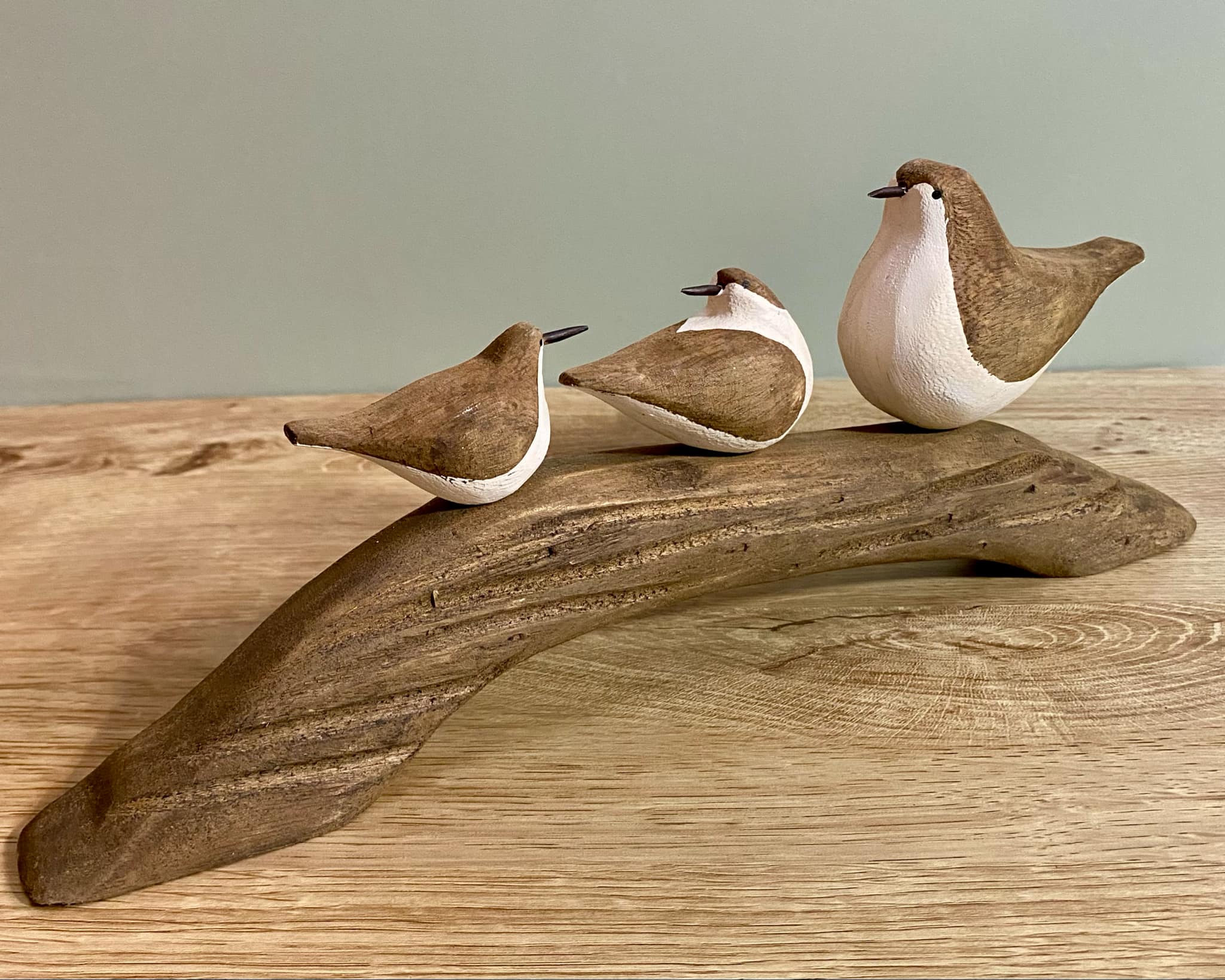 Birds On Wooden Branch