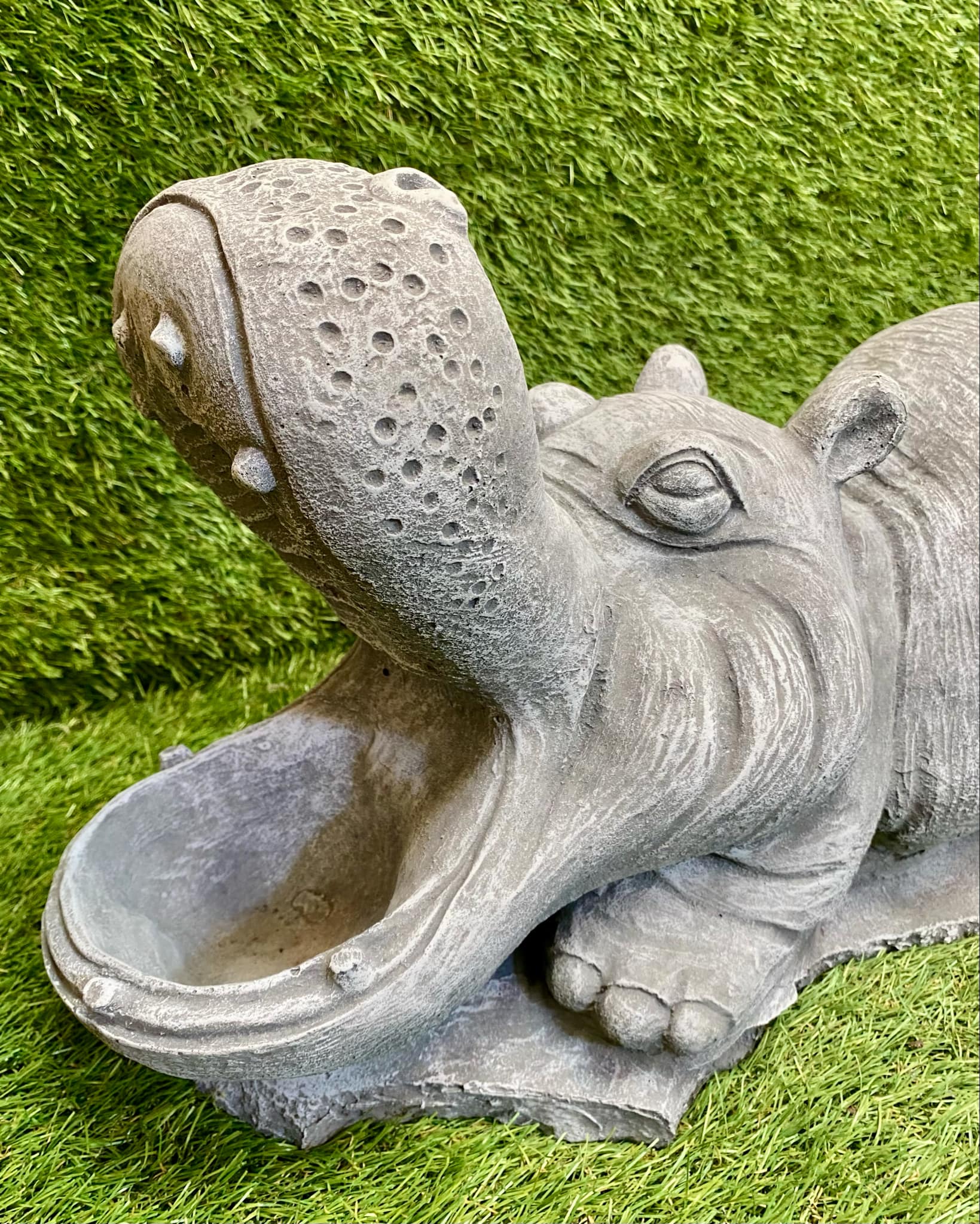 Large Hippo