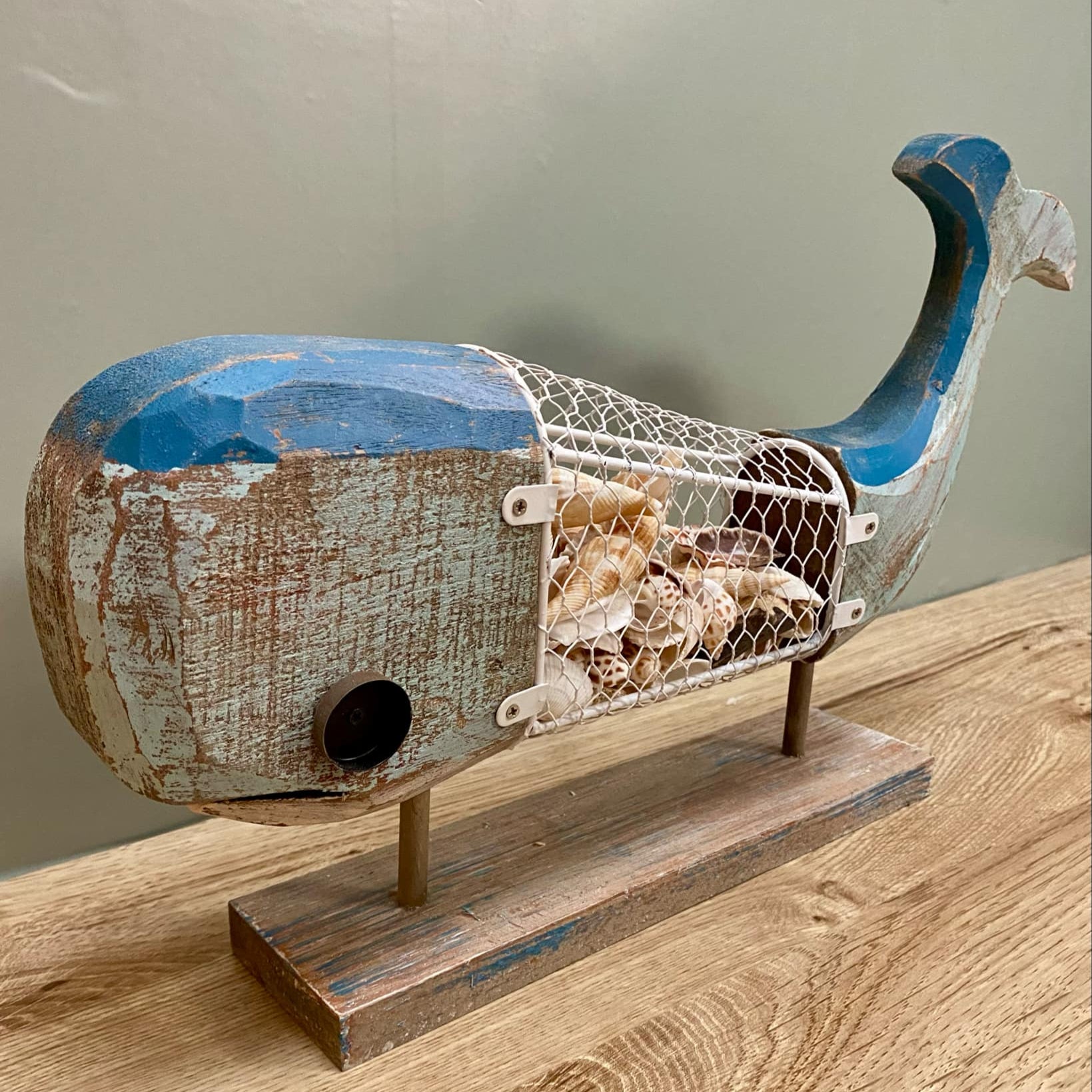 Whale Shell Decor