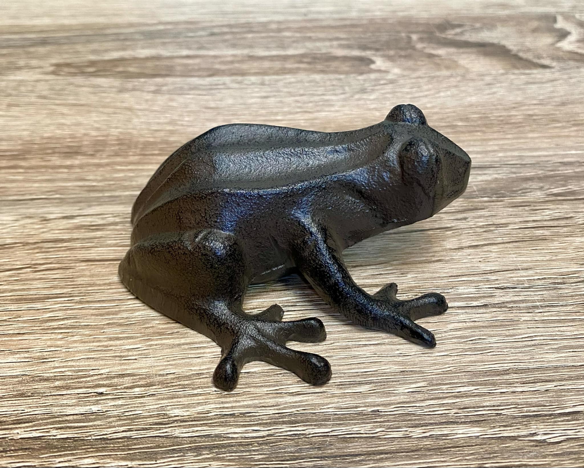 Metal Frog