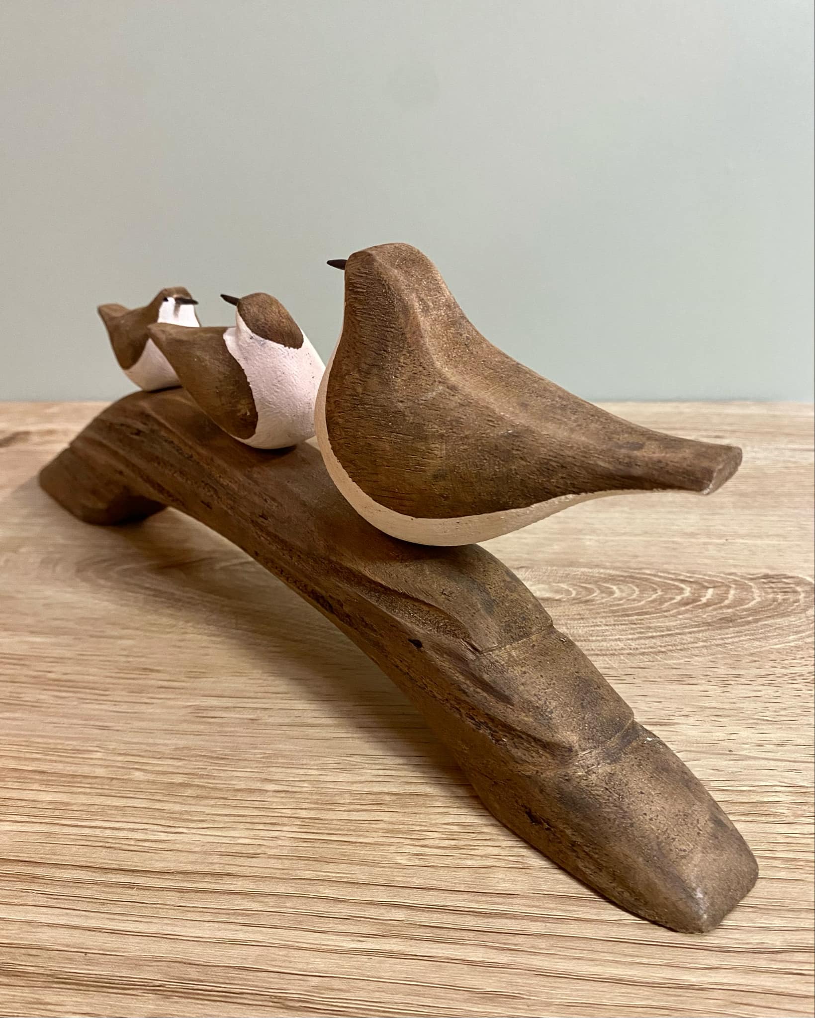 Birds On Wooden Branch