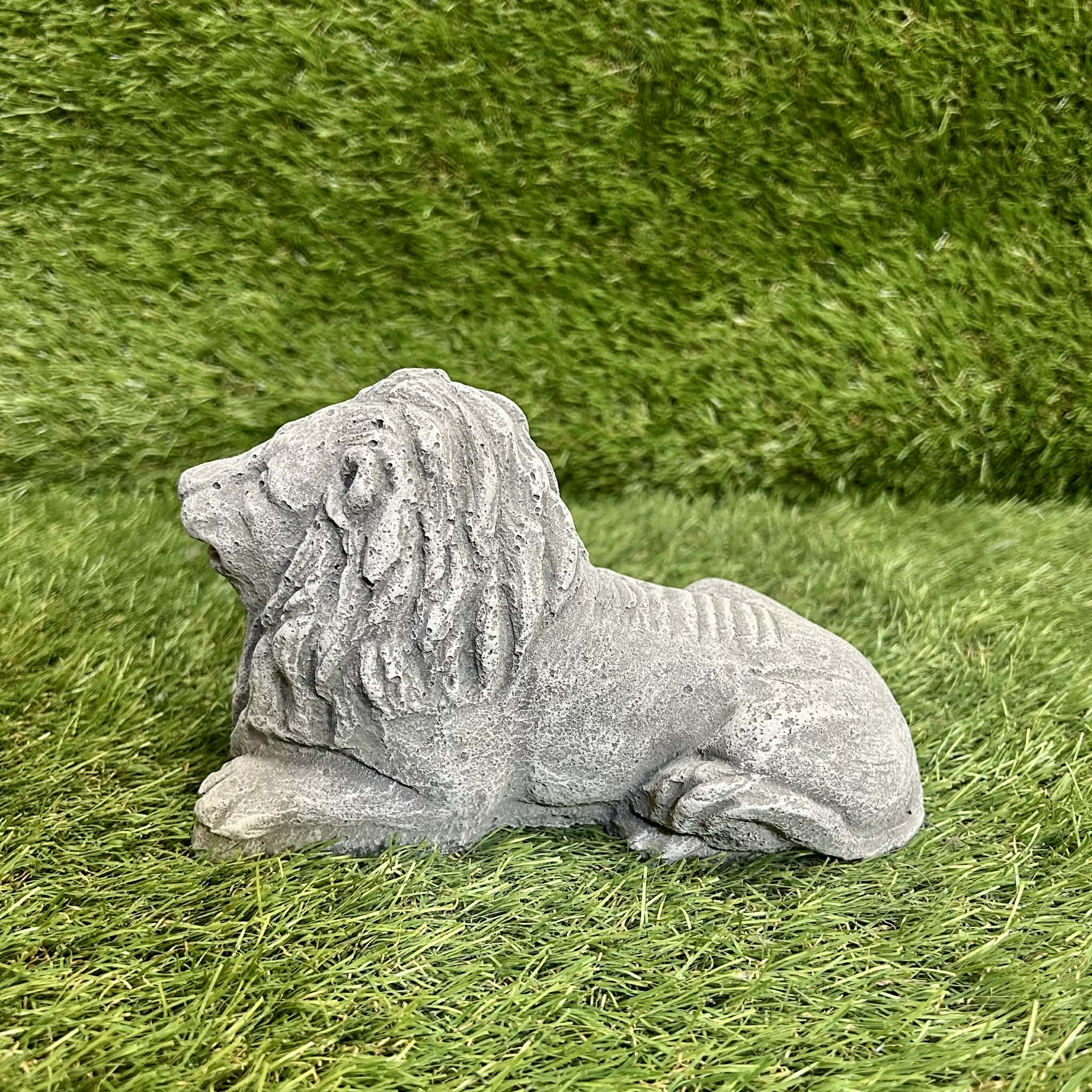 Small Lion