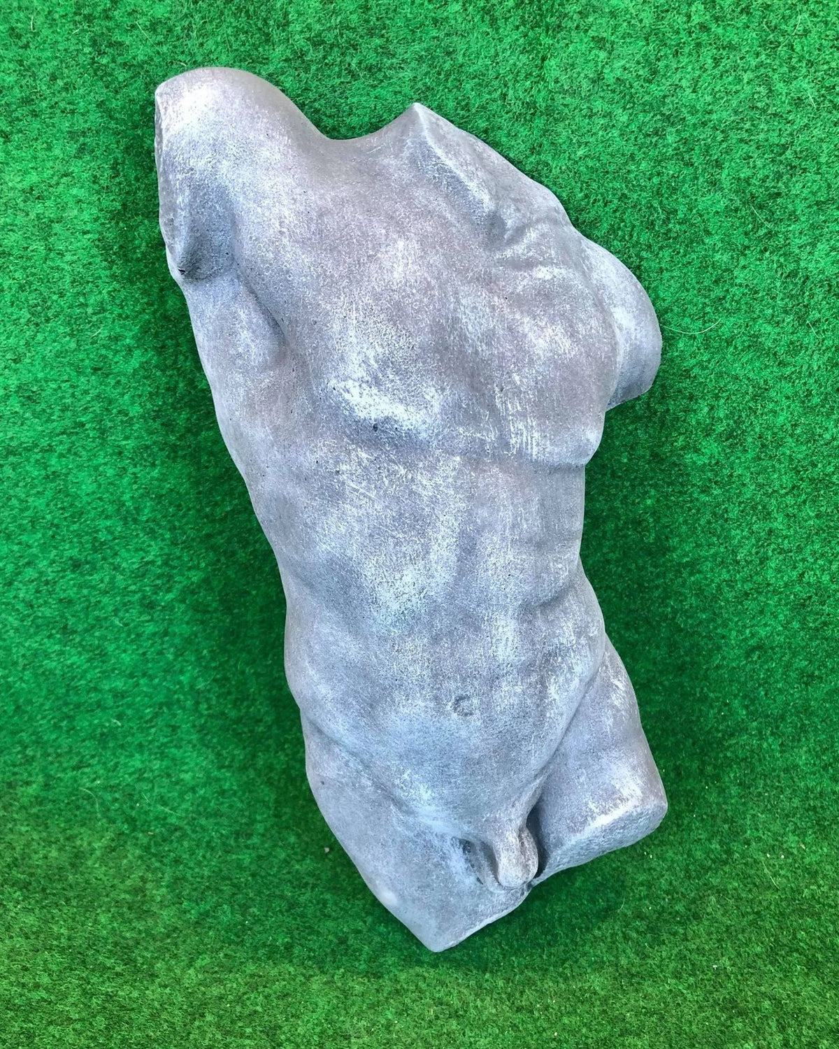 Male Front Body Hanging Torso
