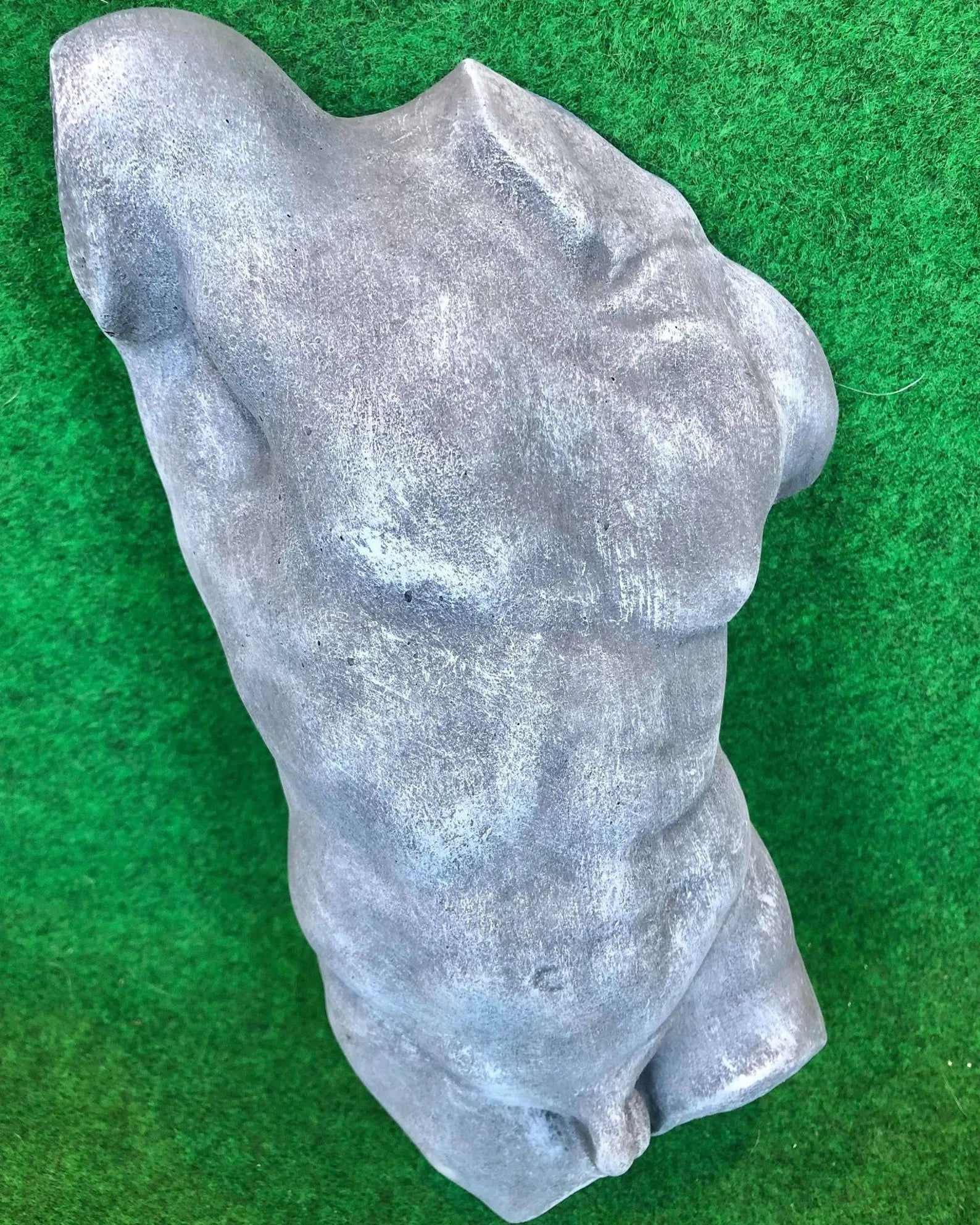 Male Front Body Hanging Torso