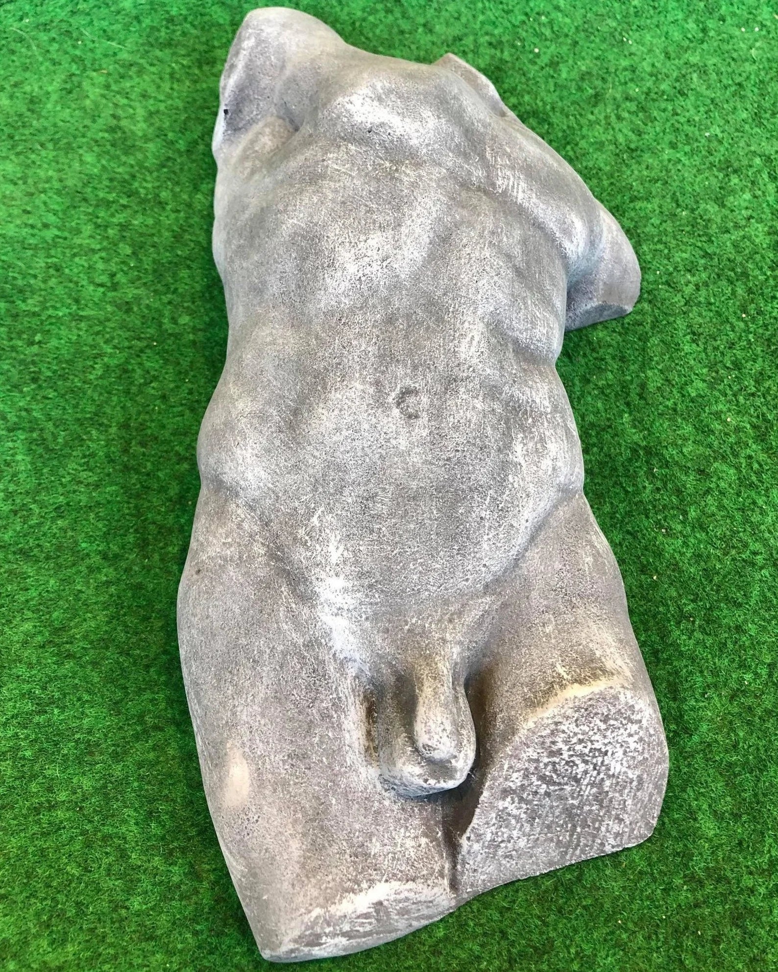 Male Front Body Hanging Torso