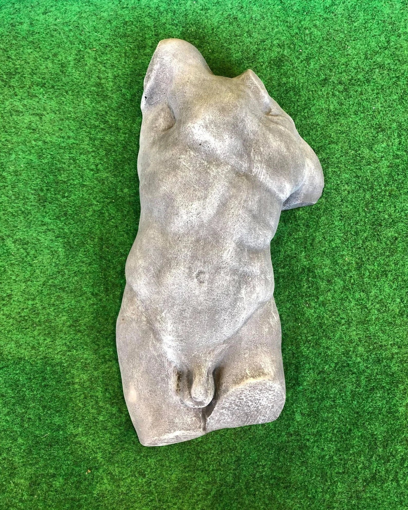 Male Front Body Hanging Torso